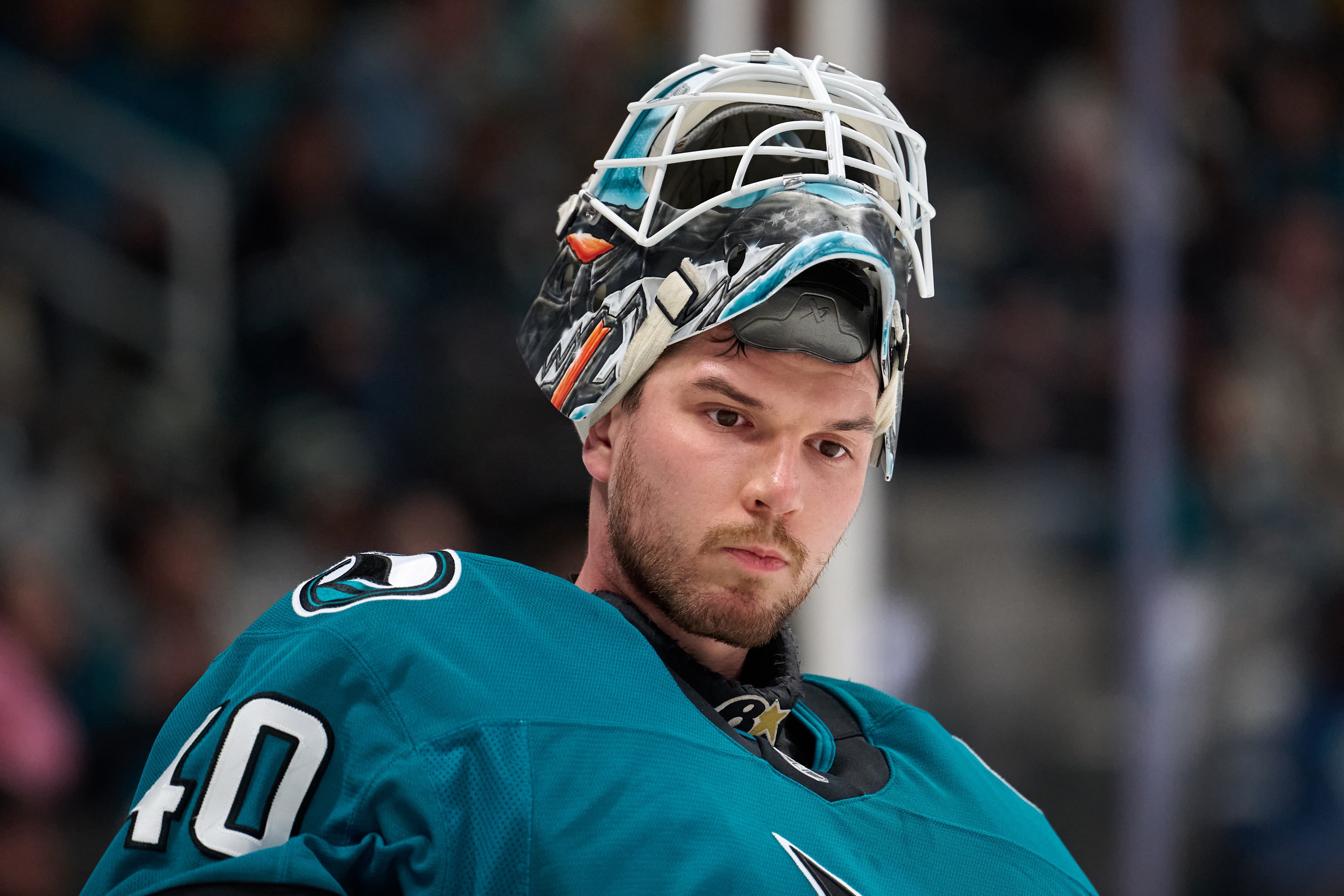 nhl picks Alexandar Georgiev San Jose Sharks nhl picks