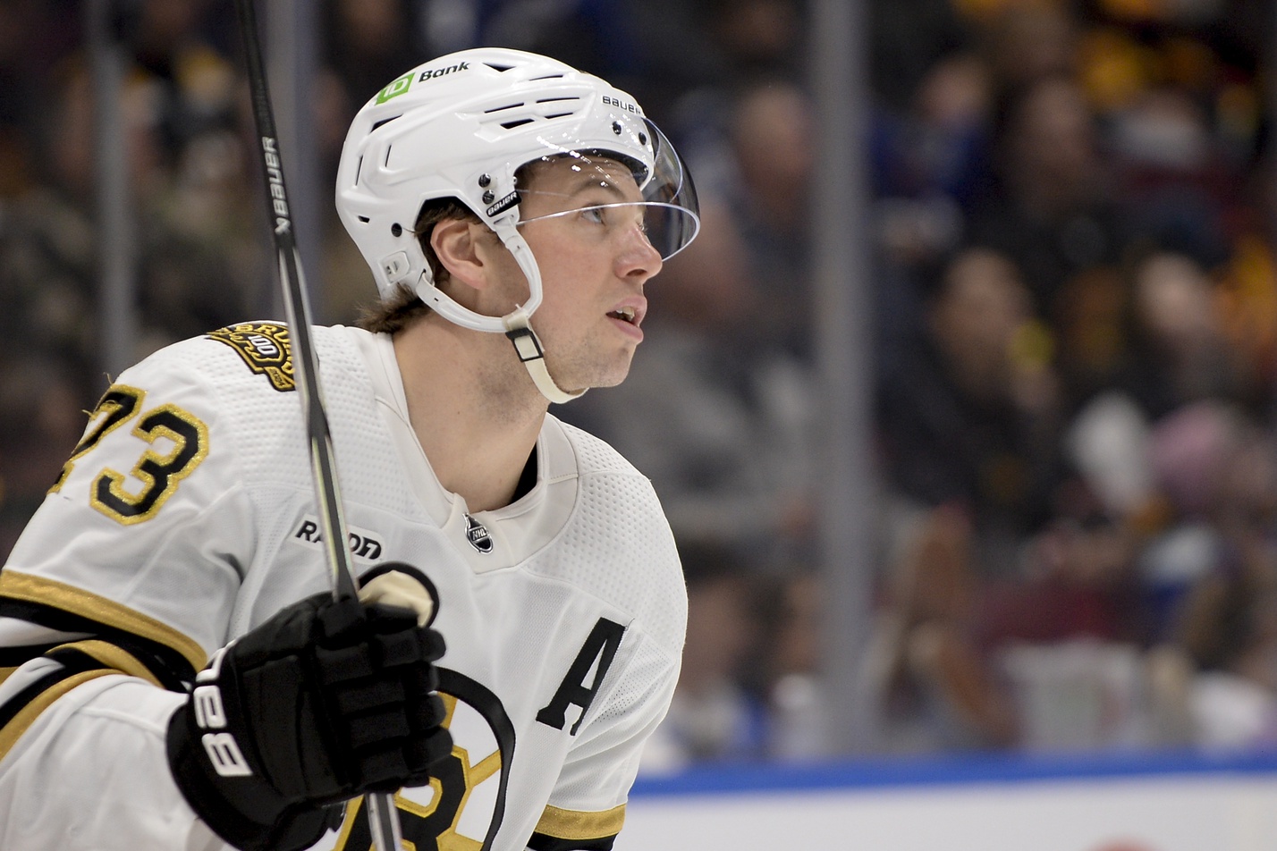 nhl picks Charlie McAvoy Boston Bruins nhl picks predictions best bet odds