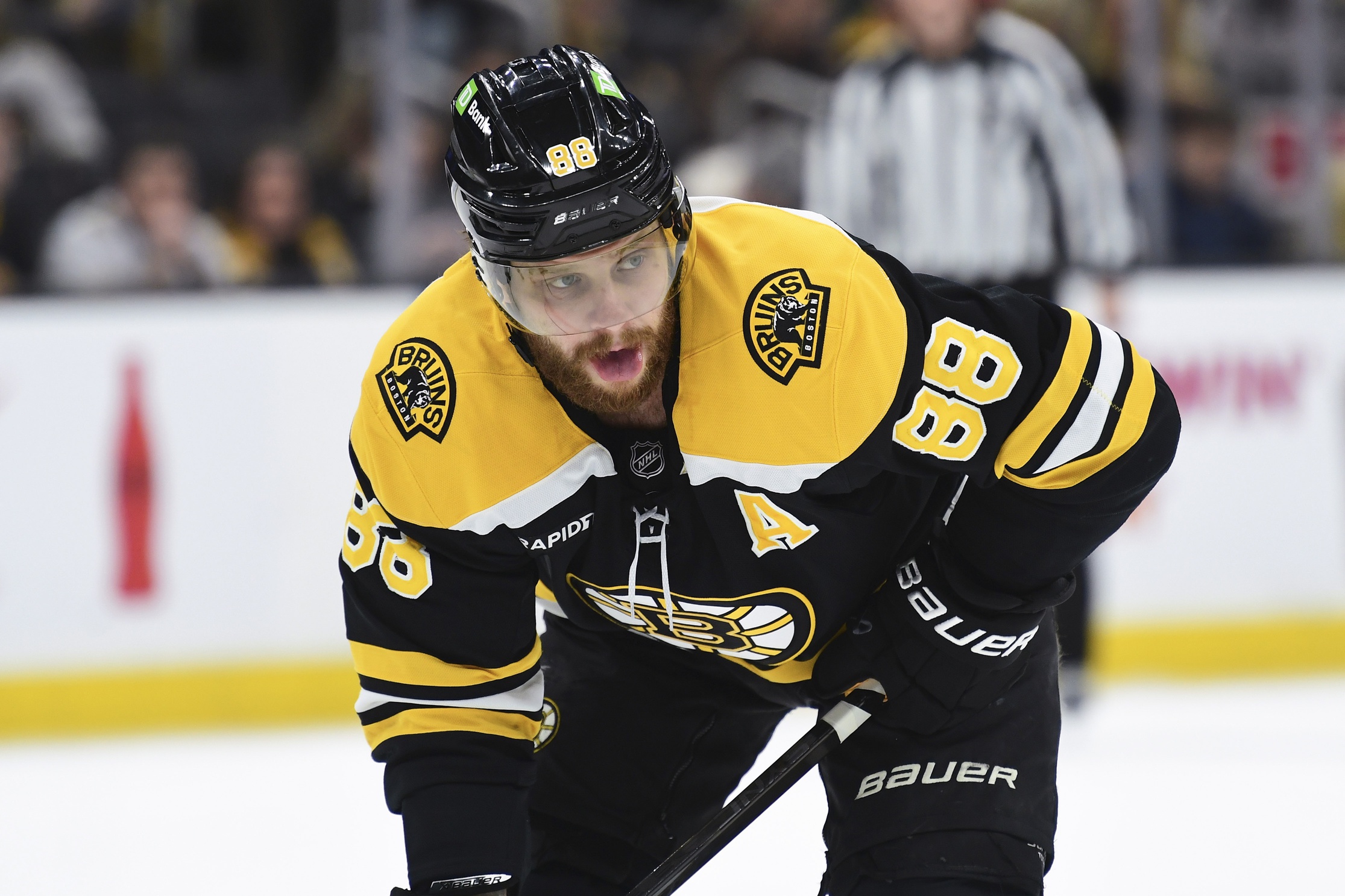 nhl picks David Pastrnak Boston Bruins nhl picks