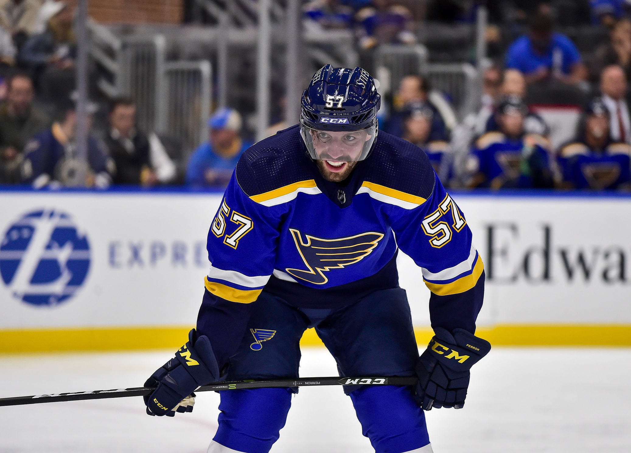 nhl picks David Perron St. Louis Blues predictions best bet odds