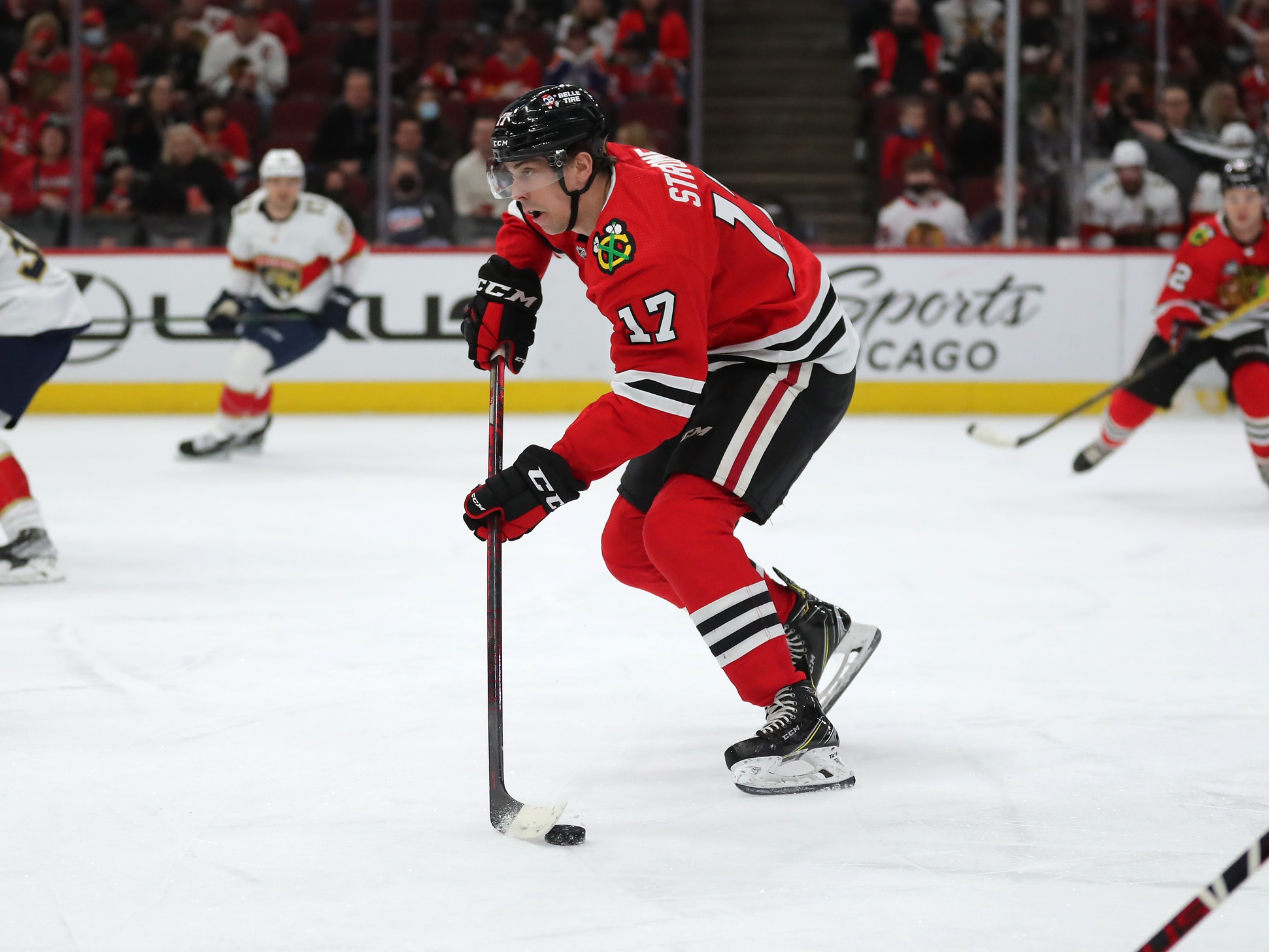 nhl picks Dylan Strome Chicago Blackhawks predictions best bet odds