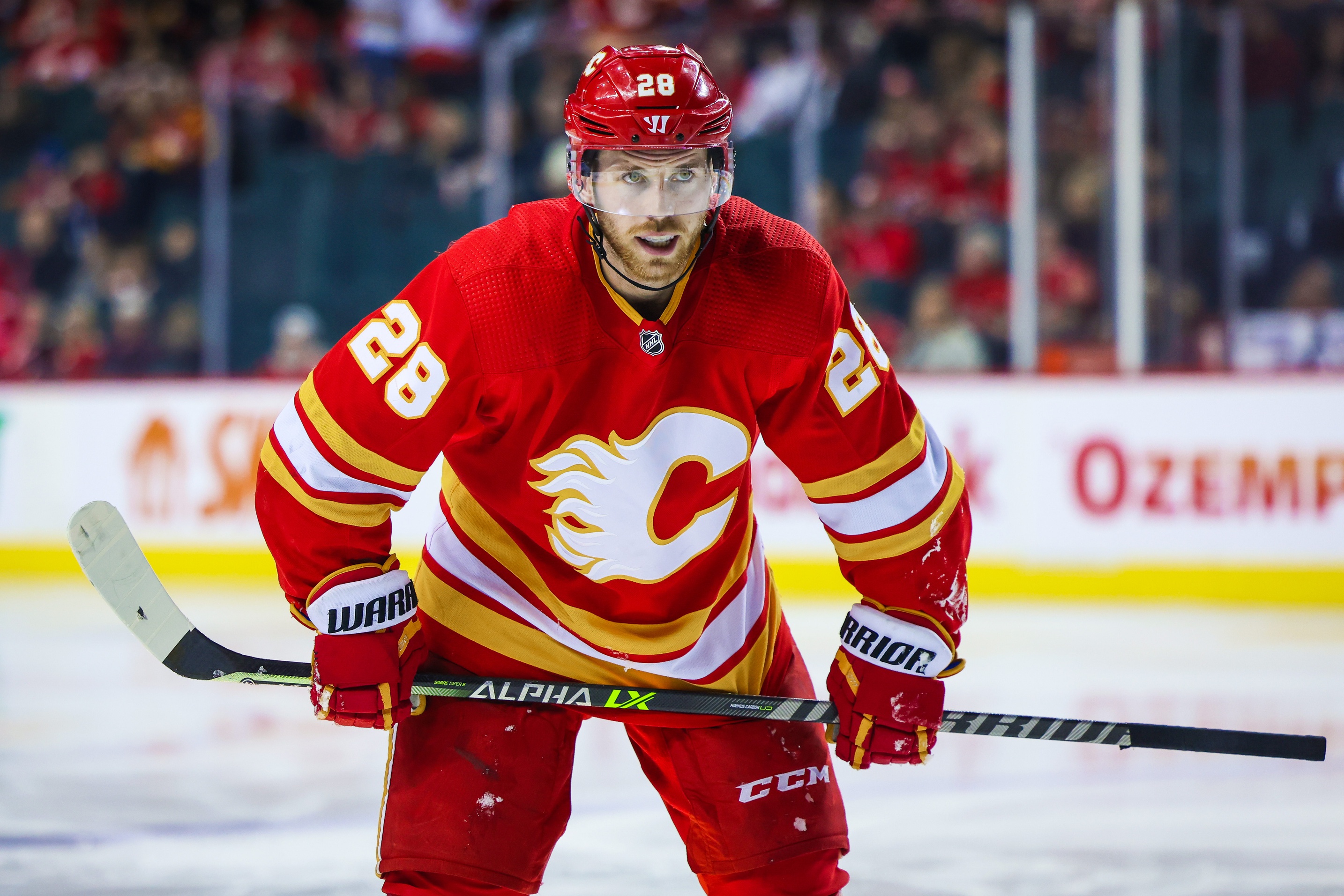 nhl picks Elias Lindholm Calgary Flames predictions best bet odds