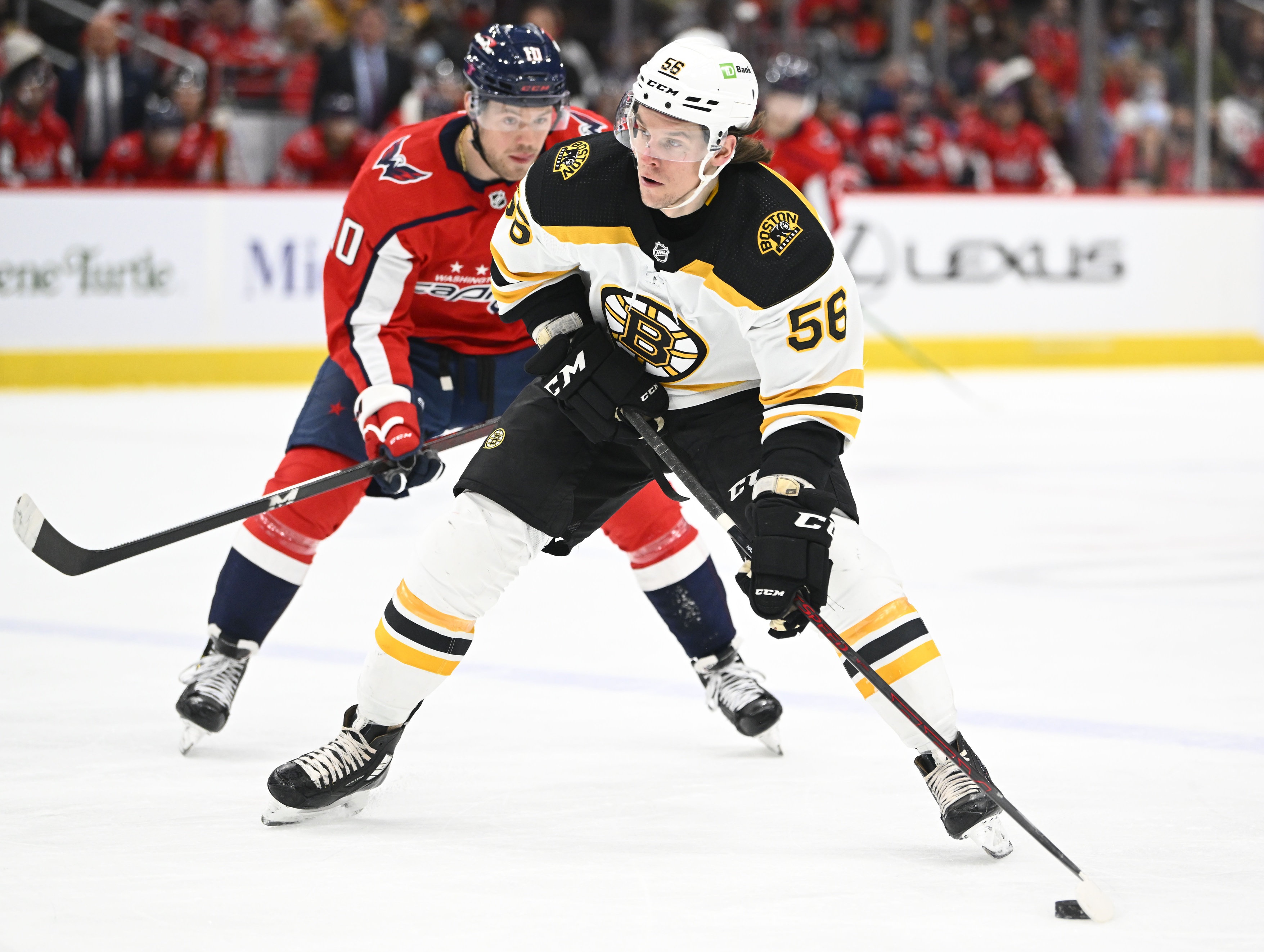 nhl picks Erik Haula Boston Bruins predictions best bet odds