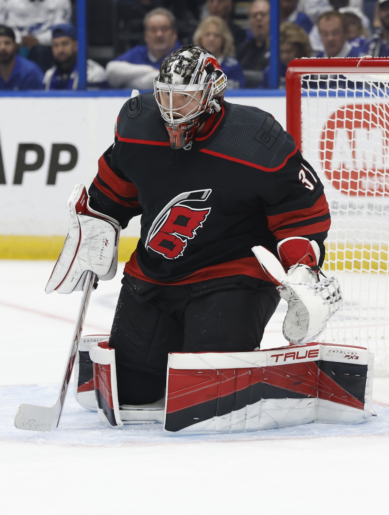 nhl picks Frederik Andersen Carolina Hurricanes nhl picks