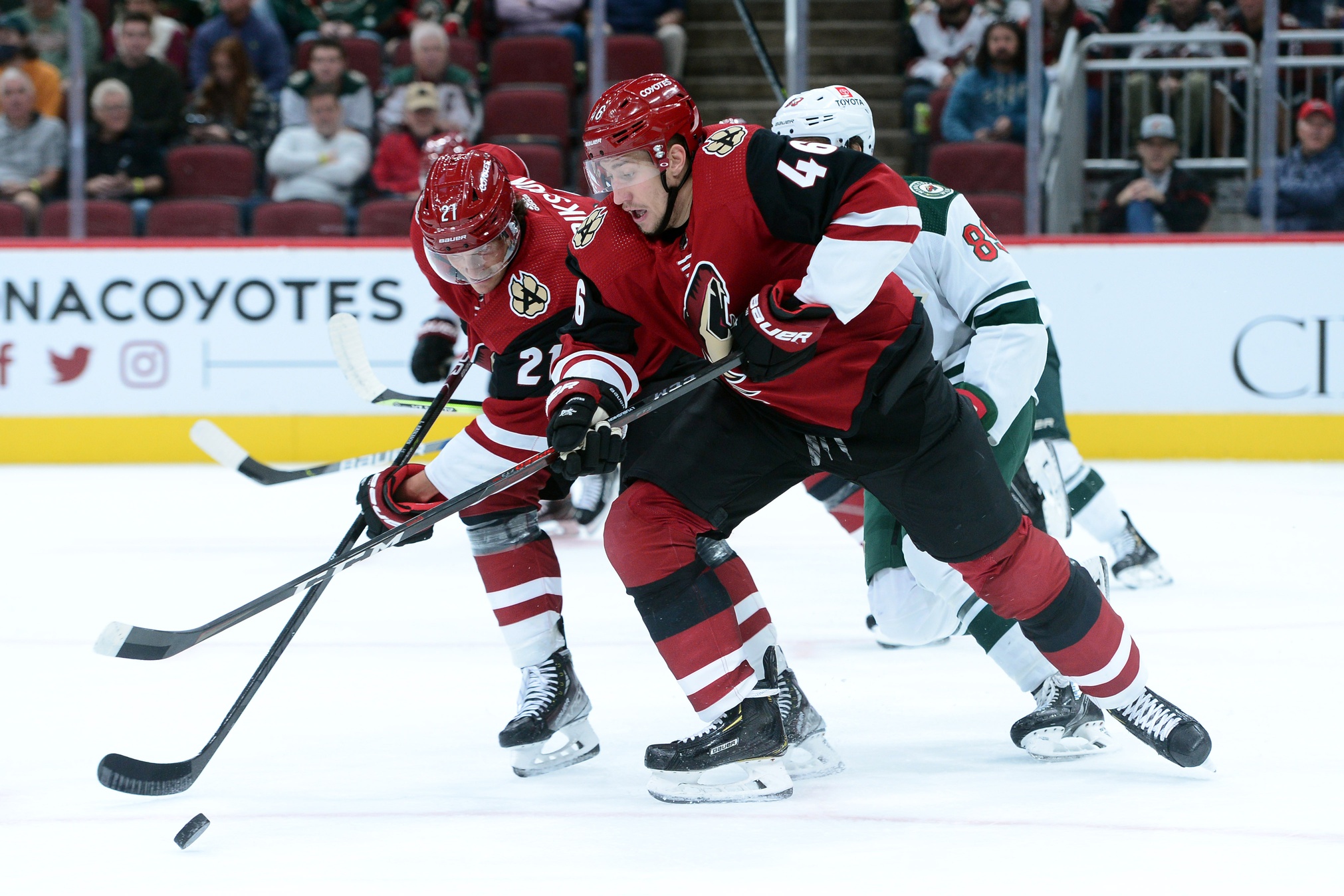 nhl picks Ilya Lyubushkin Arizona Coyotes predictions best bet odds