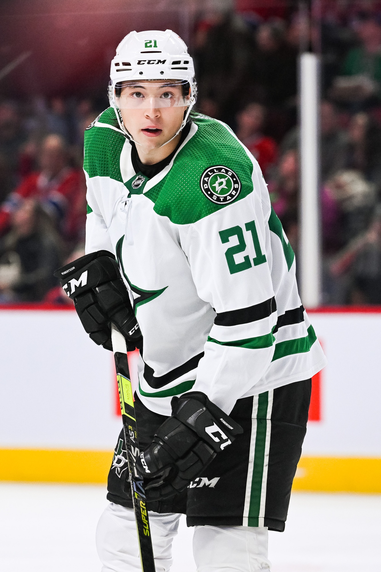 nhl picks Jason Robertson Dallas Stars predictions best bet odds