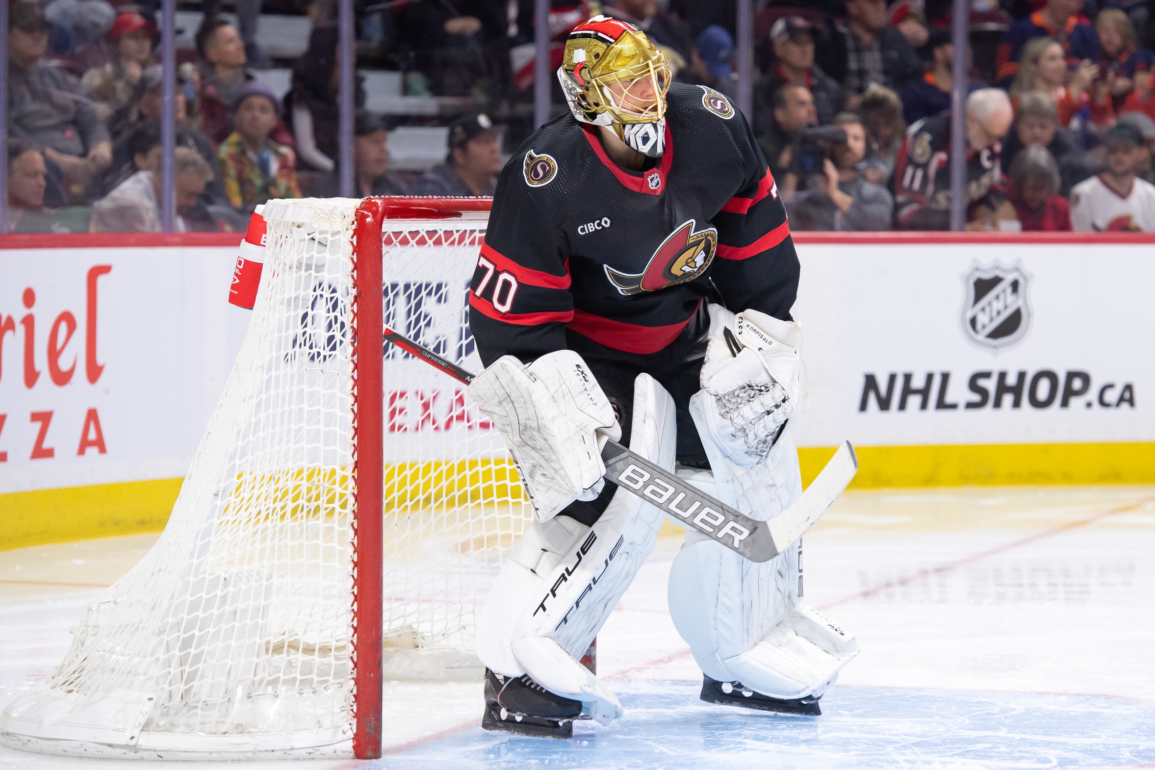 nhl picks Joonas Korpisalo Ottawa Senators nhl picks predictions best bet odds