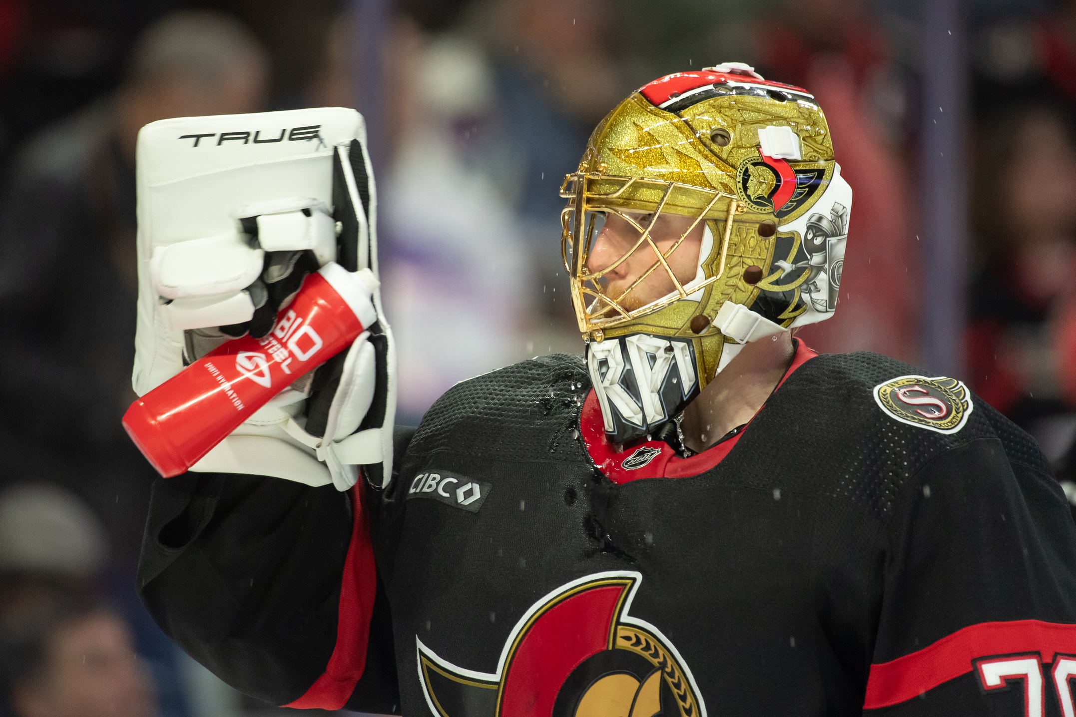 nhl picks Joonas Korpisalo Ottawa Senators nhl picks predictions best bet odds