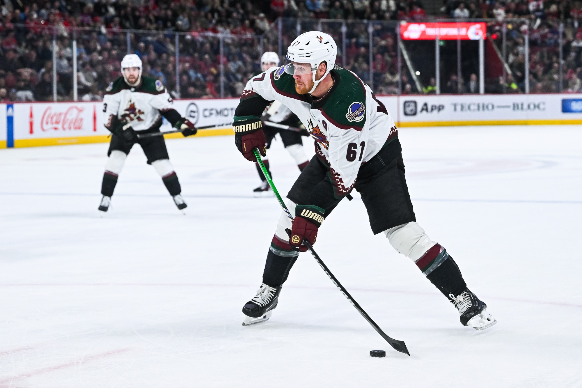 nhl picks Lawson Crouse Arizona Coyotes nhl picks predictions best bet odds