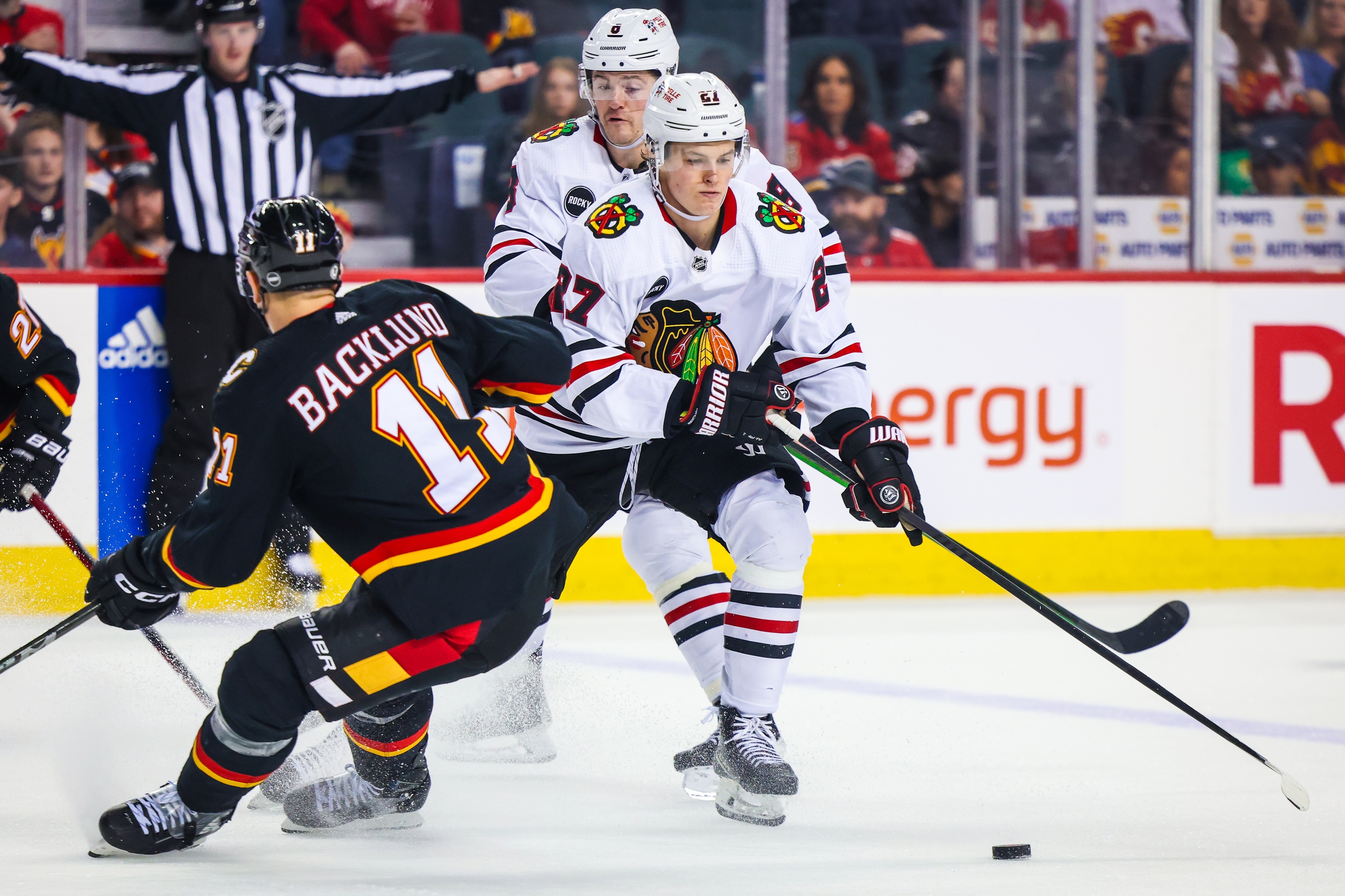 nhl picks Lukas Reichel Chicago Blackhawks nhl picks predictions best bet odds