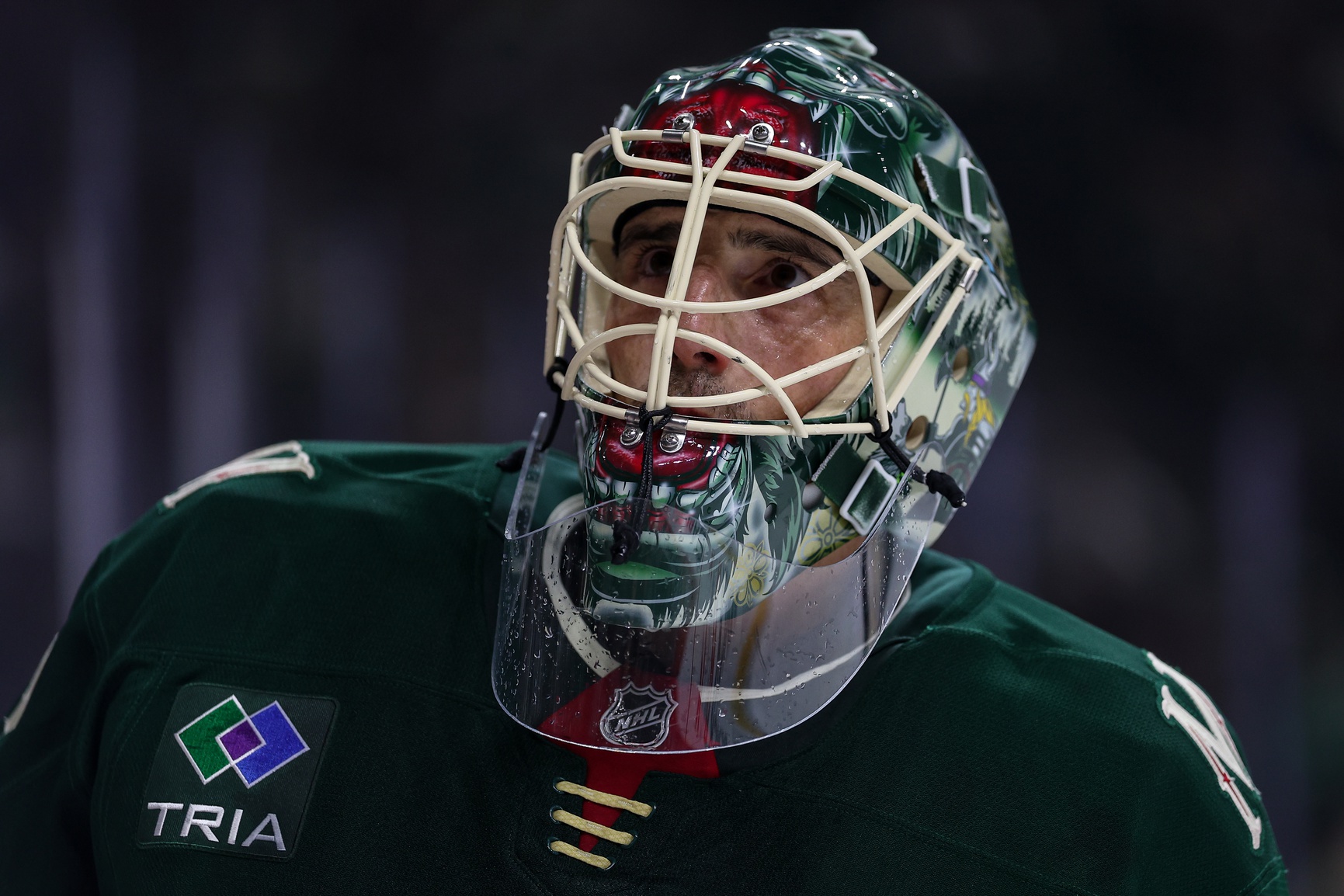 nhl picks Marc-Andre Fleury Minnesota Wild nhl picks