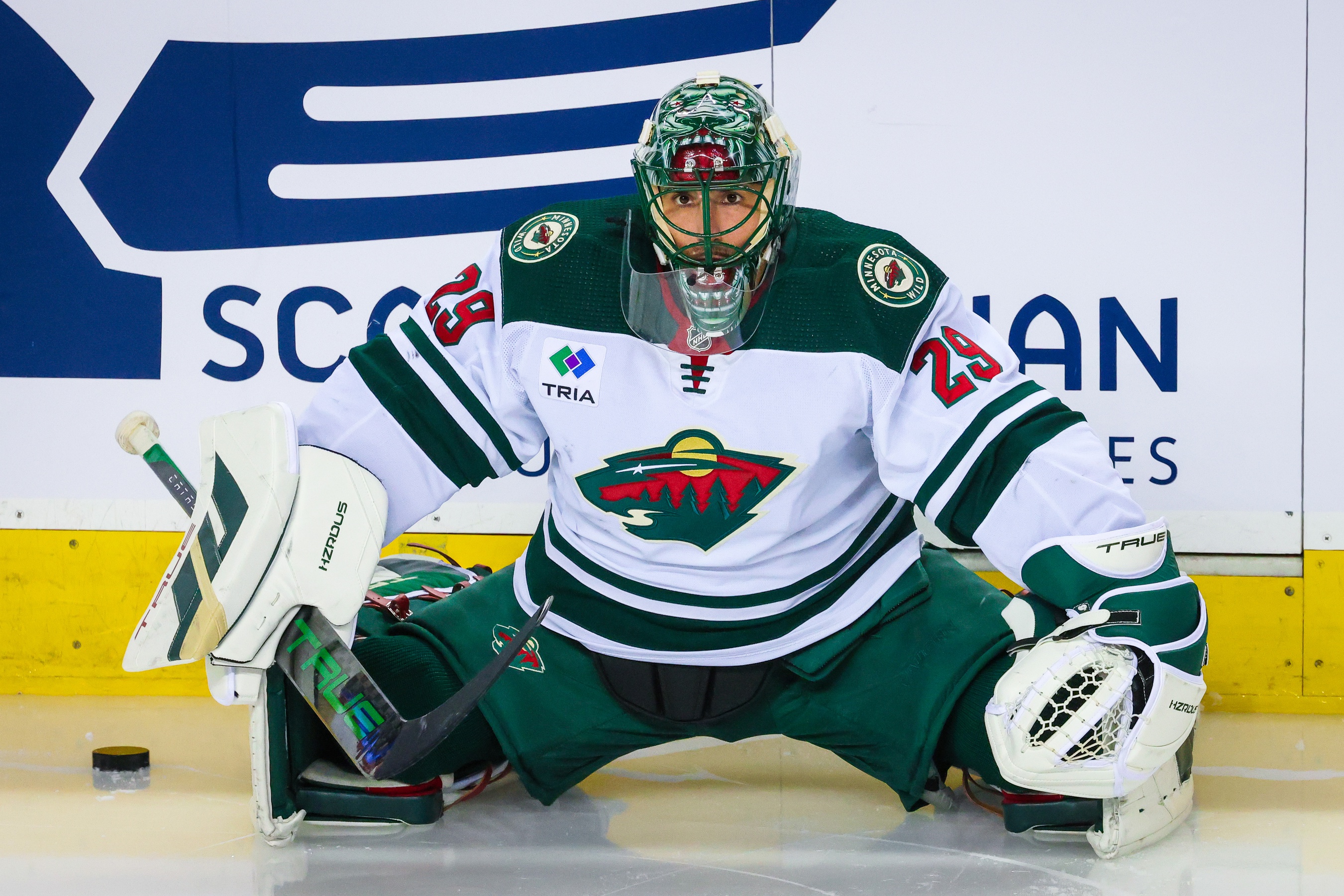 nhl picks Marc-Andre Fleury Minnesota Wild nhl picks predictions best bet odds