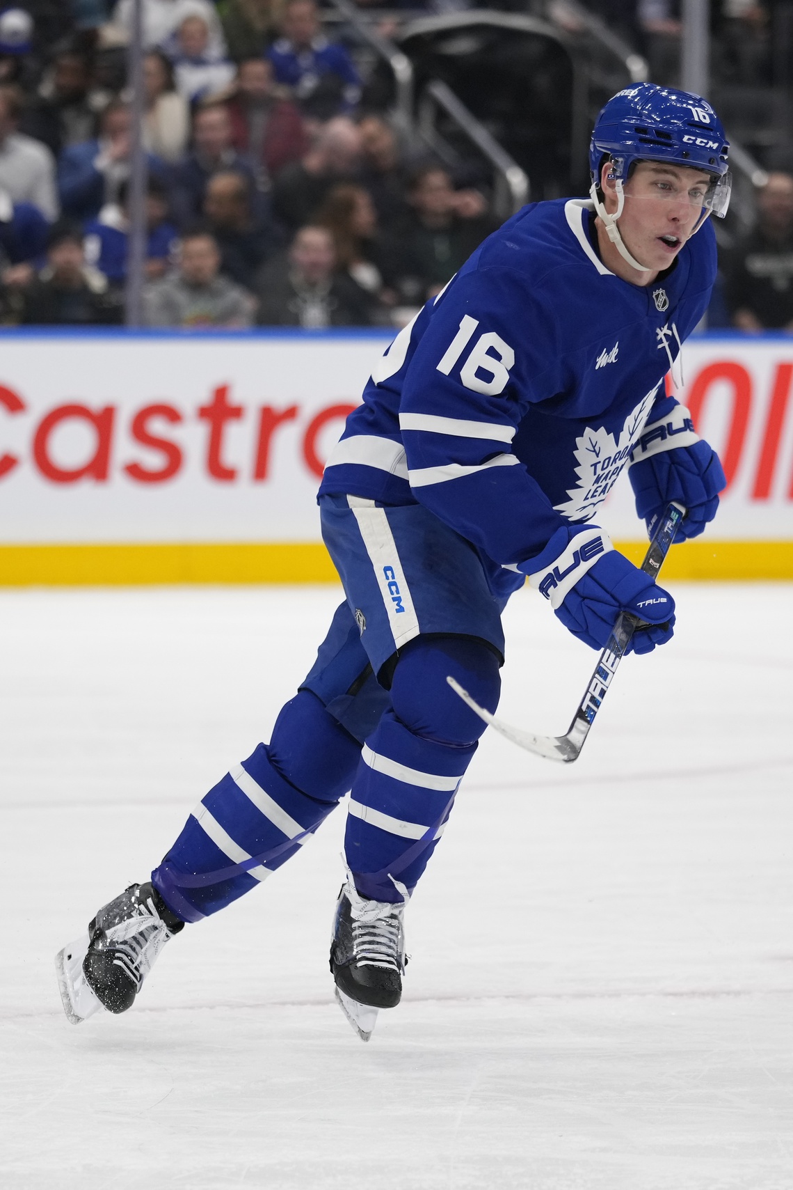 nhl picks Mitch Marner Toronto Maple Leafs nhl picks