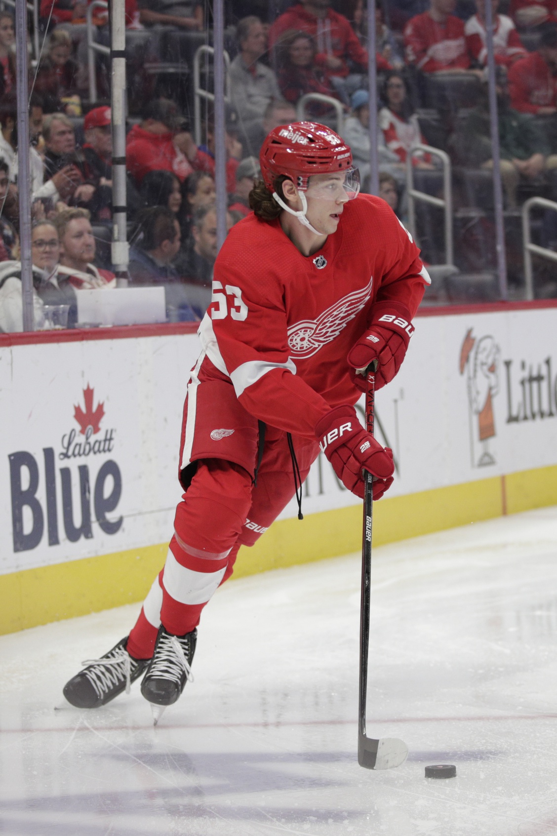 nhl picks Moritz Seider Detroit Red Wings predictions best bet odds