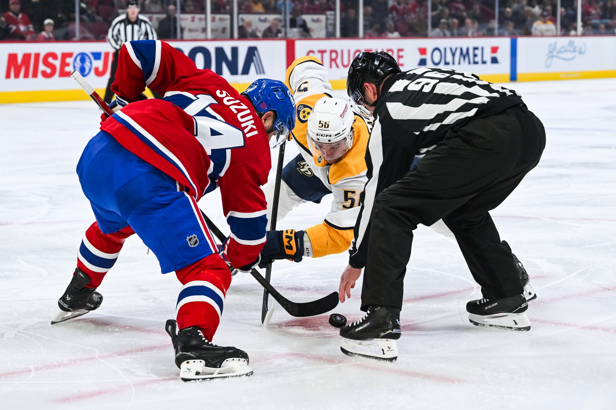 nhl picks Nick Suzuki Montreal Canadiens predictions best bet odds