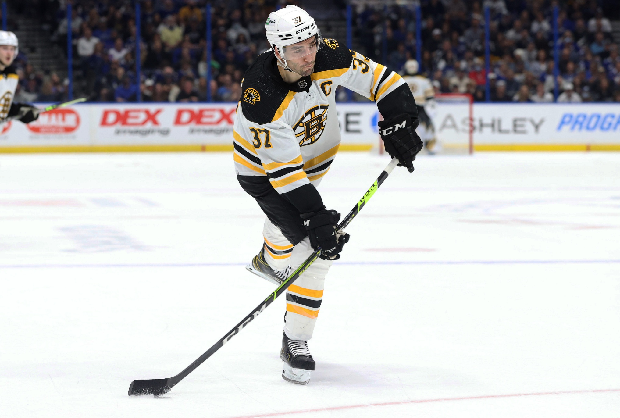 nhl picks Patrice Bergeron Boston Bruins predictions best bet odds
