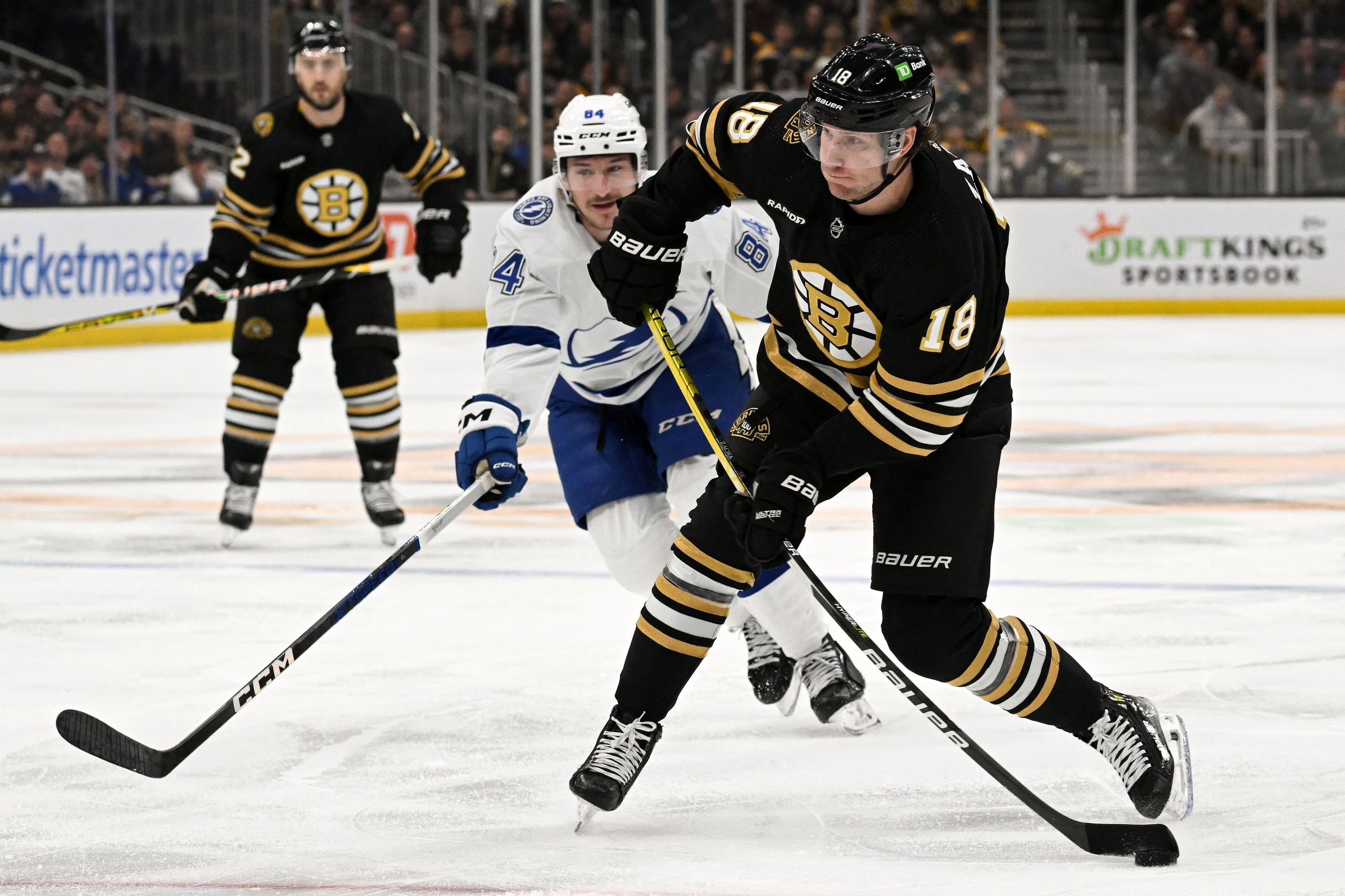 nhl picks Pavel Zacha Boston Bruins nhl picks predictions best bet odds