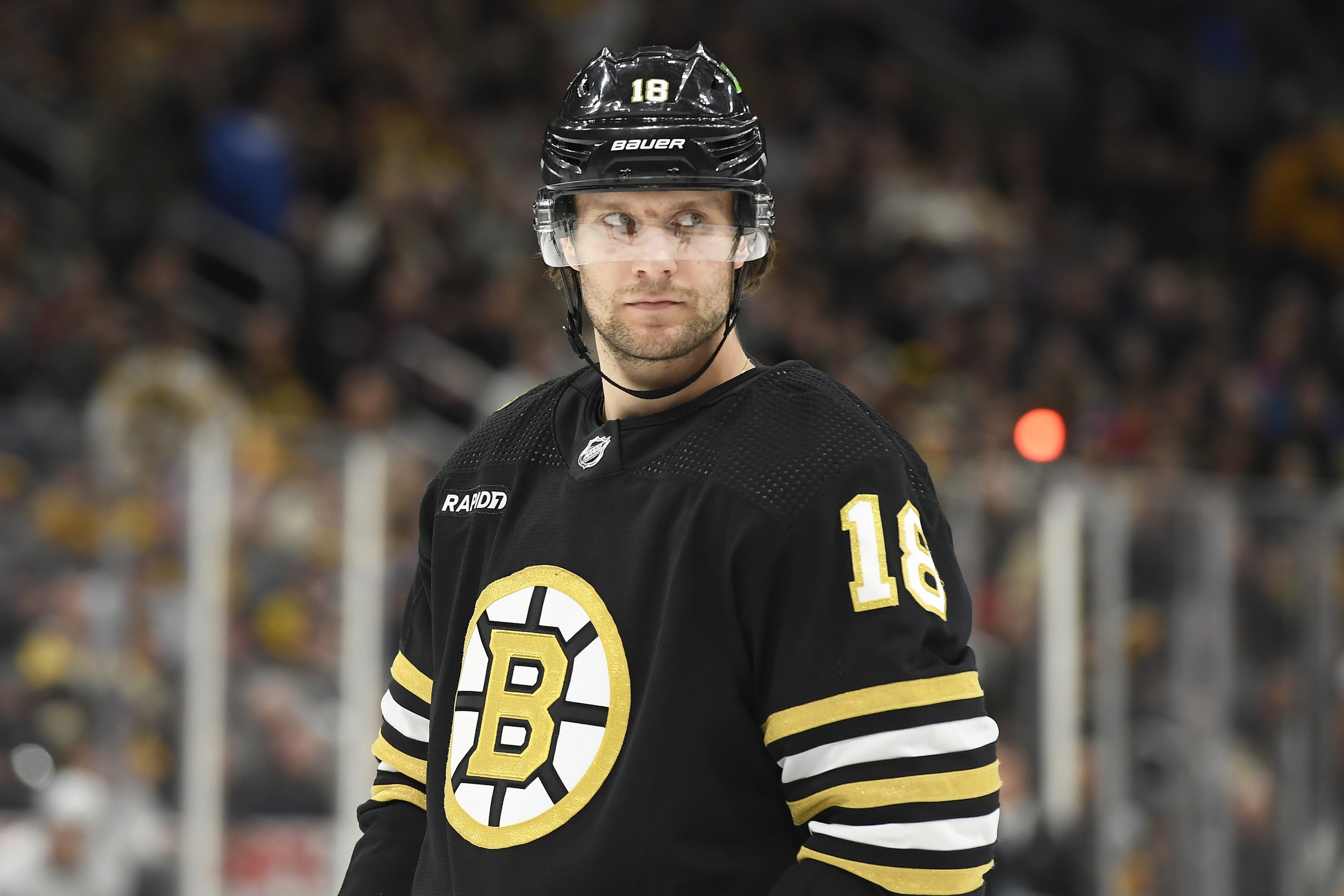 nhl picks Pavel Zacha Boston Bruins nhl picks predictions best bet odds