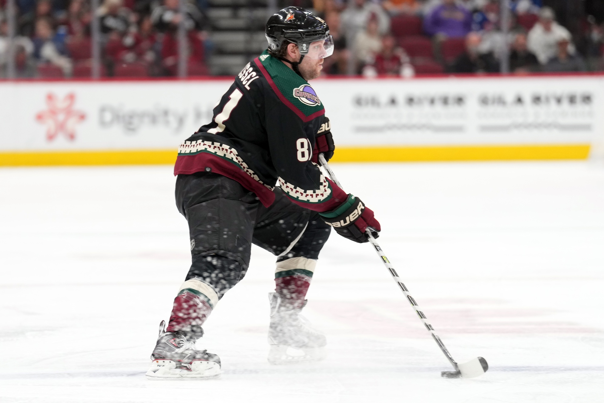 nhl picks Phil Kessel Arizona Coyotes predictions best bet odds