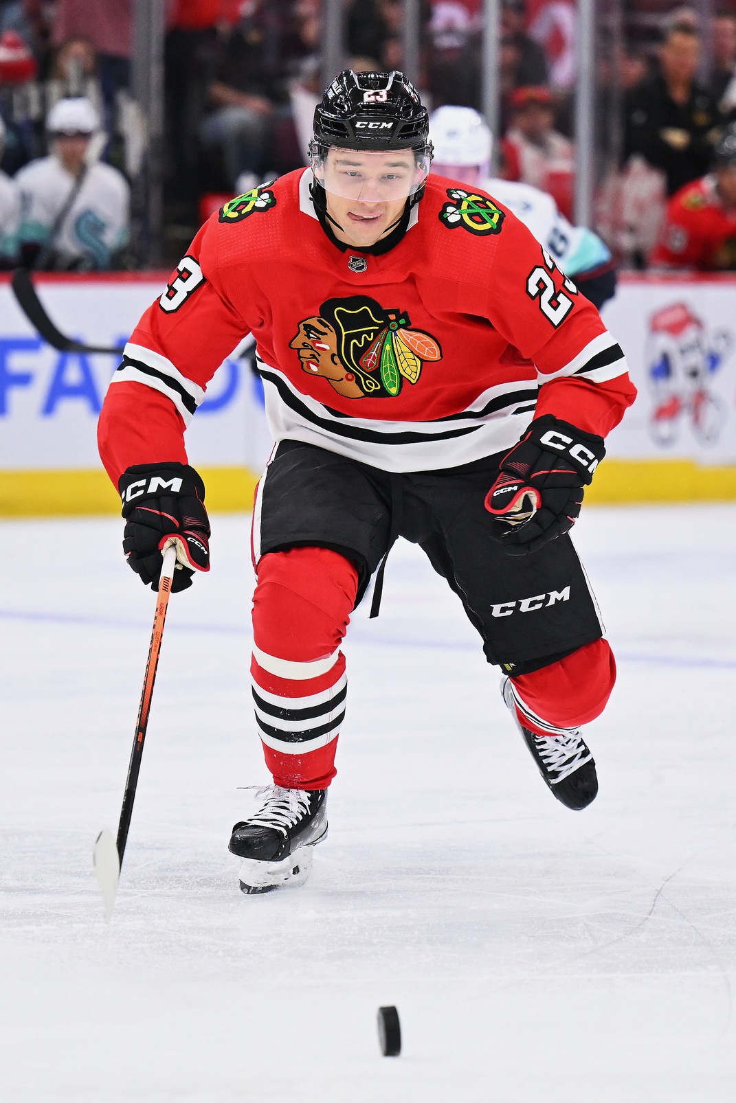nhl picks Philipp Kurashev Chicago Blackhawks predictions best bet odds