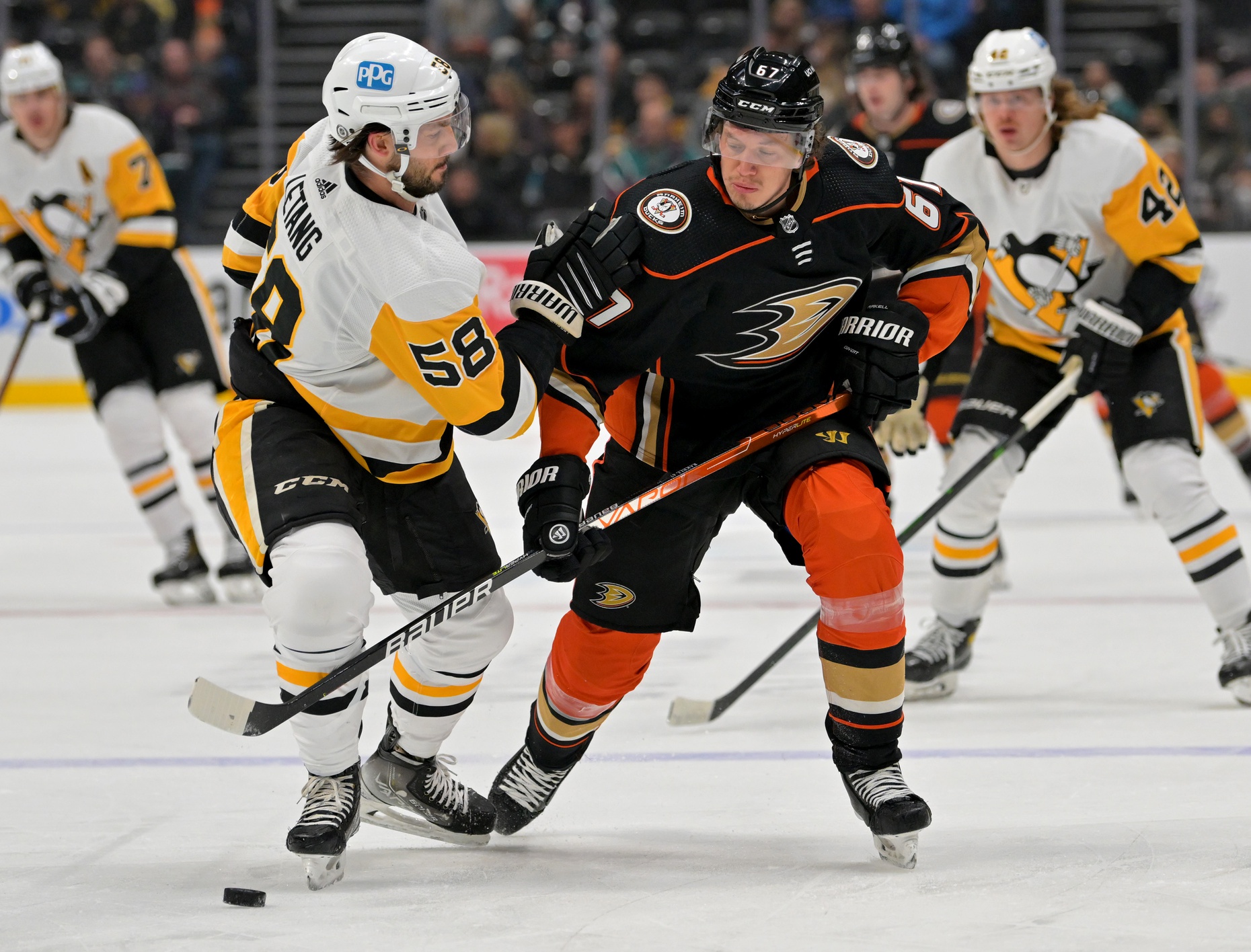 nhl picks Rickard Rakell Anaheim Ducks predictions best bet odds