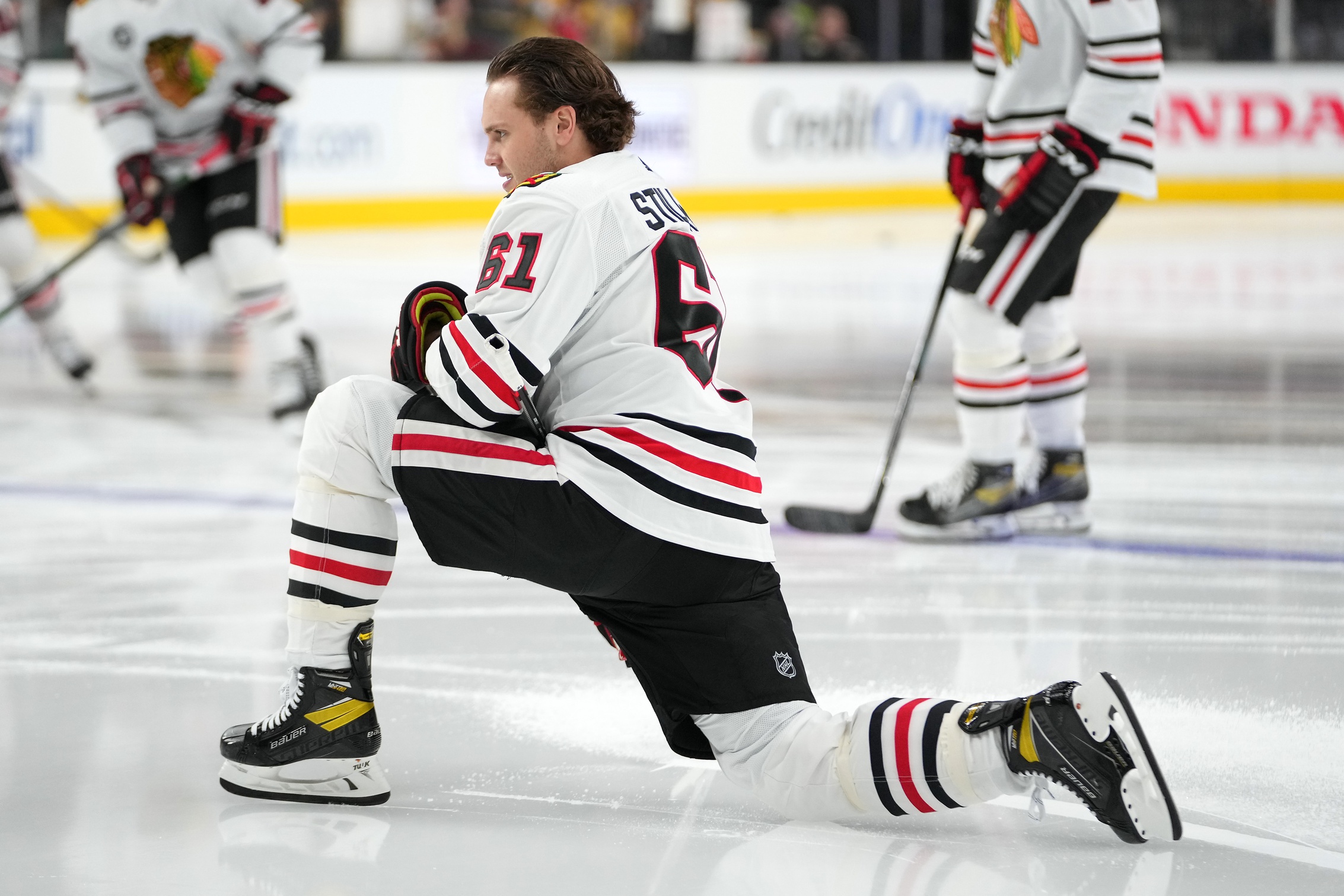 nhl picks Riley Stillman Chicago Blackhawks predictions best bet odds