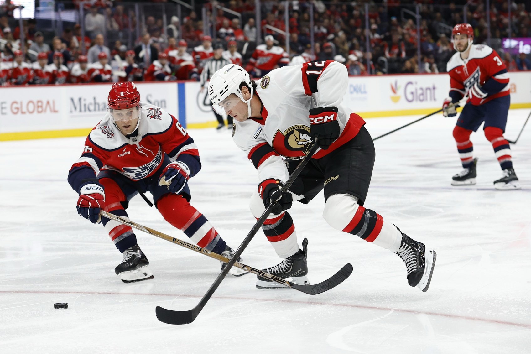 nhl picks Shane Pinto Ottawa Senators predictions best bet odds