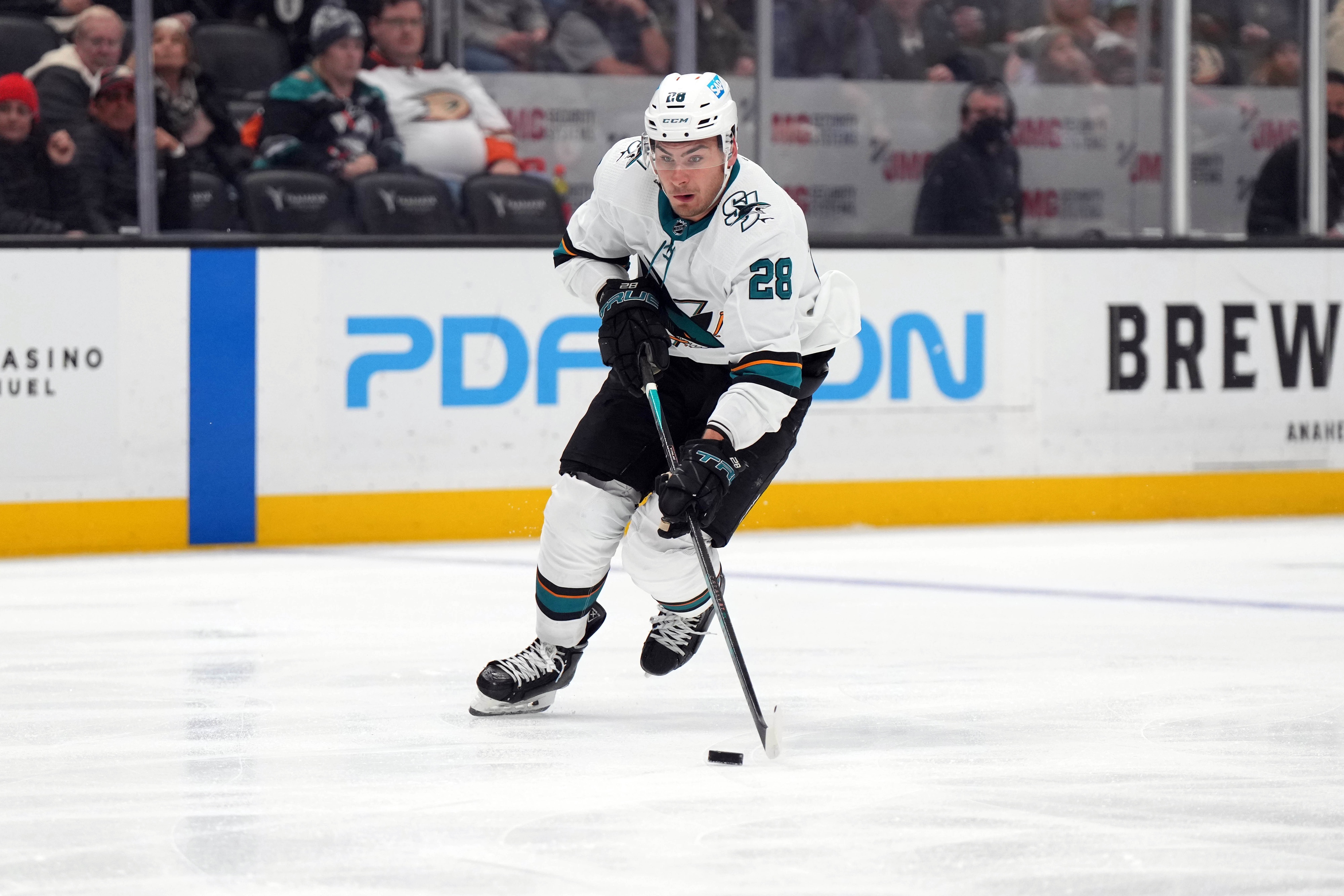 nhl picks Timo Meier San Jose Sharks predictions best bet odds