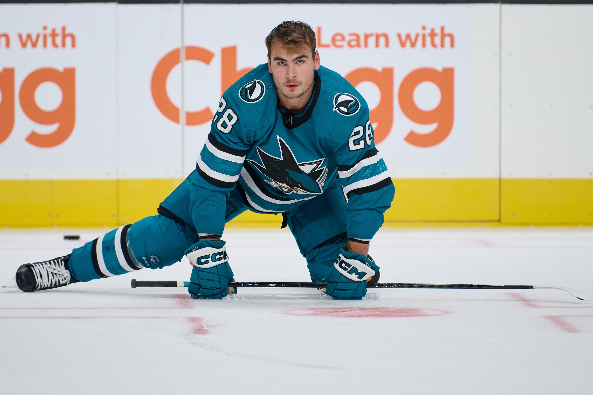 nhl picks Timo Meier San Jose Sharks predictions best bet odds