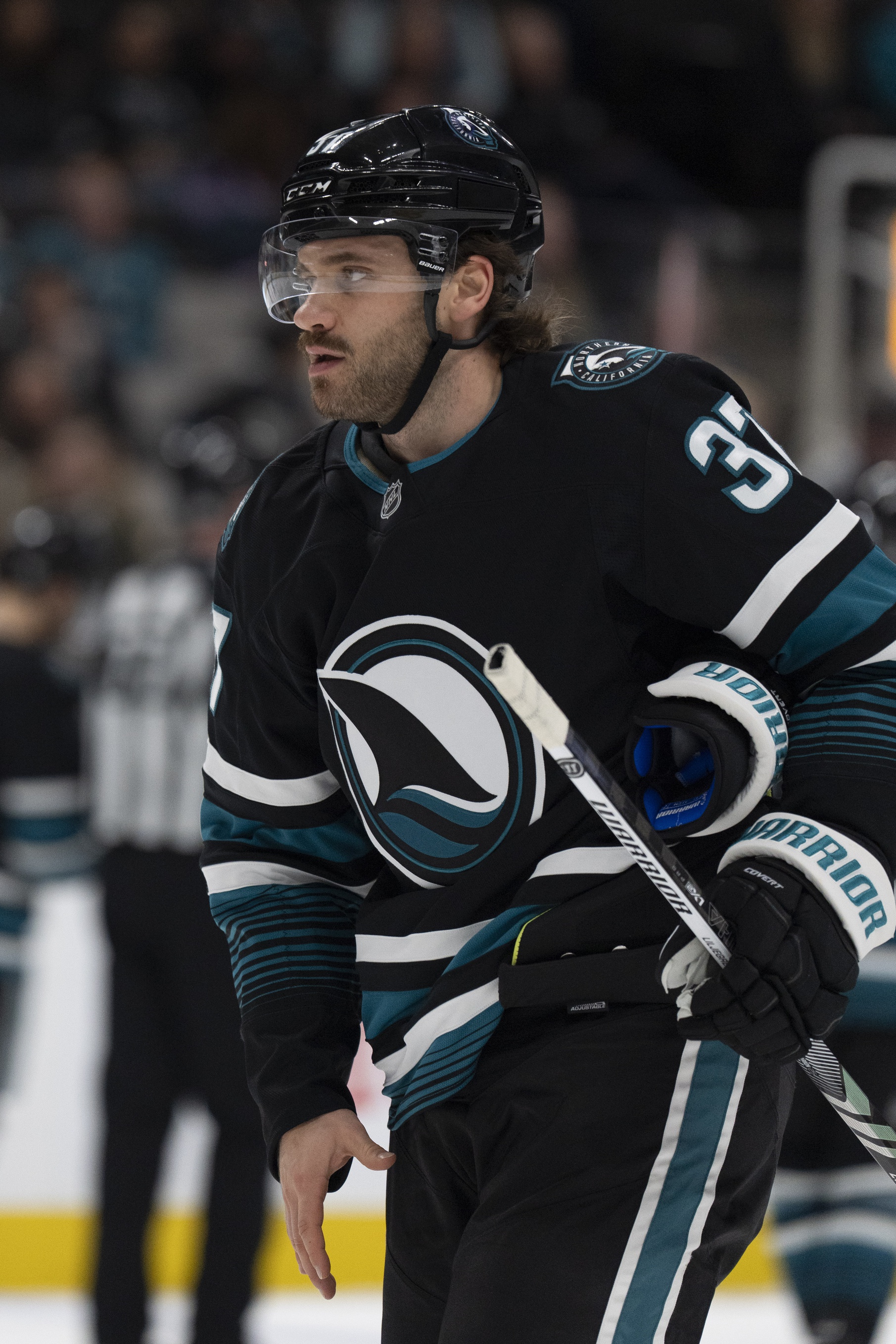 nhl picks Timothy Liljegren San Jose Sharks nhl picks