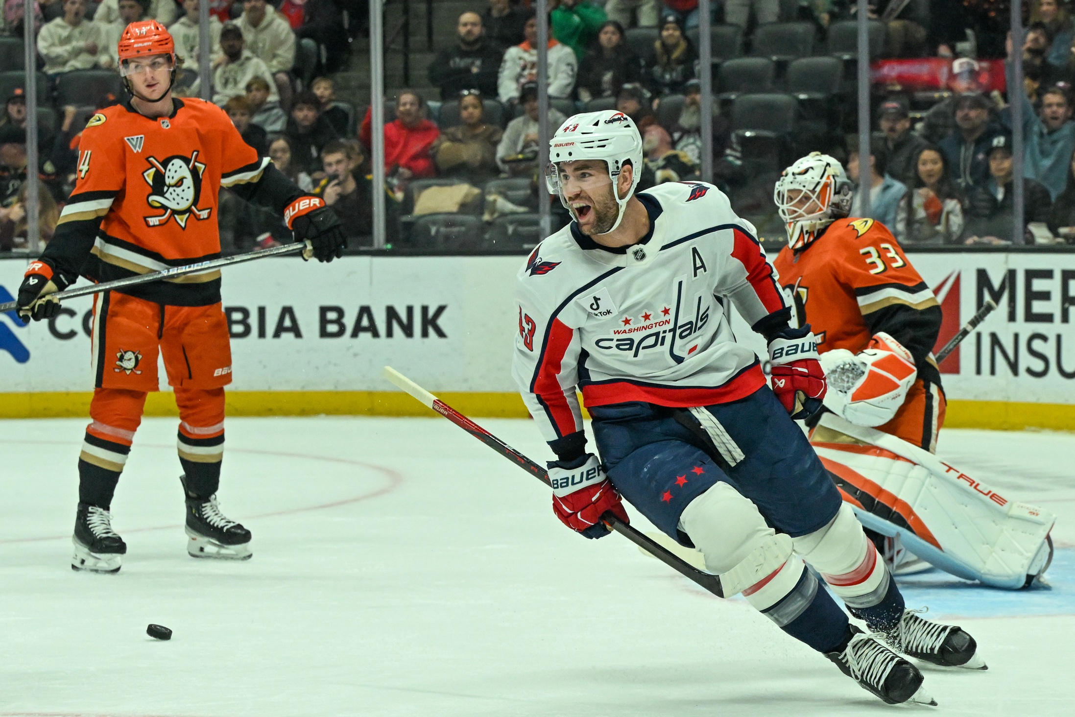 nhl picks Tom Wilson Washington Capitals predictions best bet odds