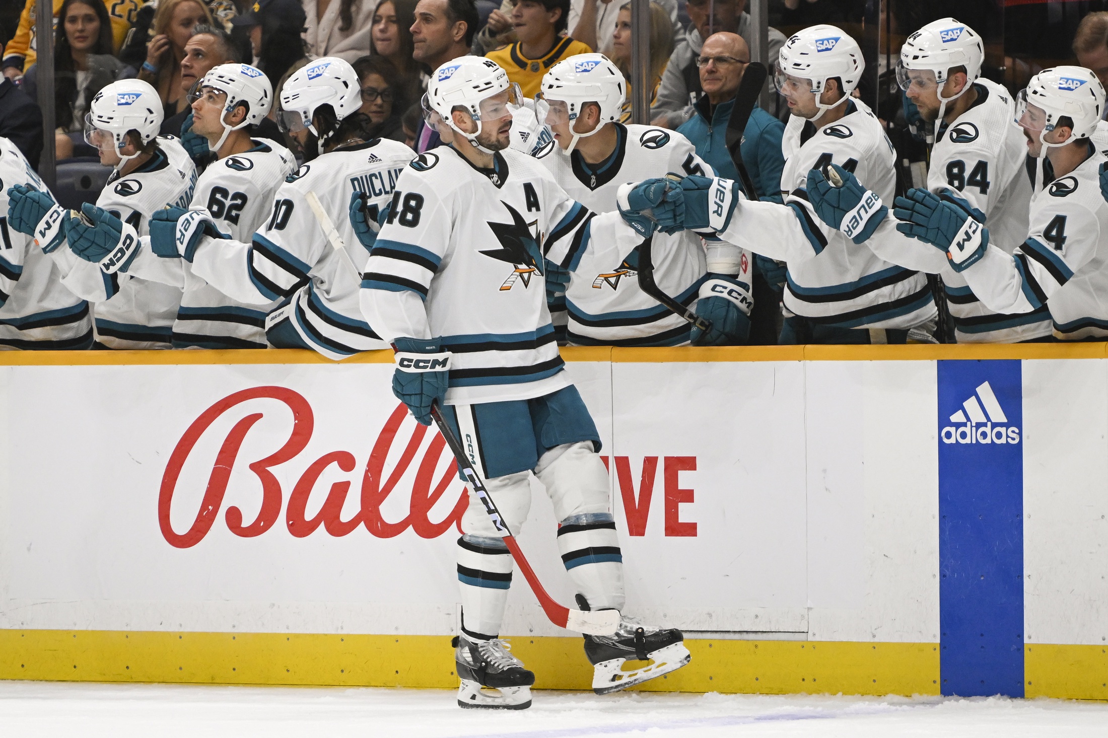 nhl picks Tomas Hertl San Jose Sharks nhl picks