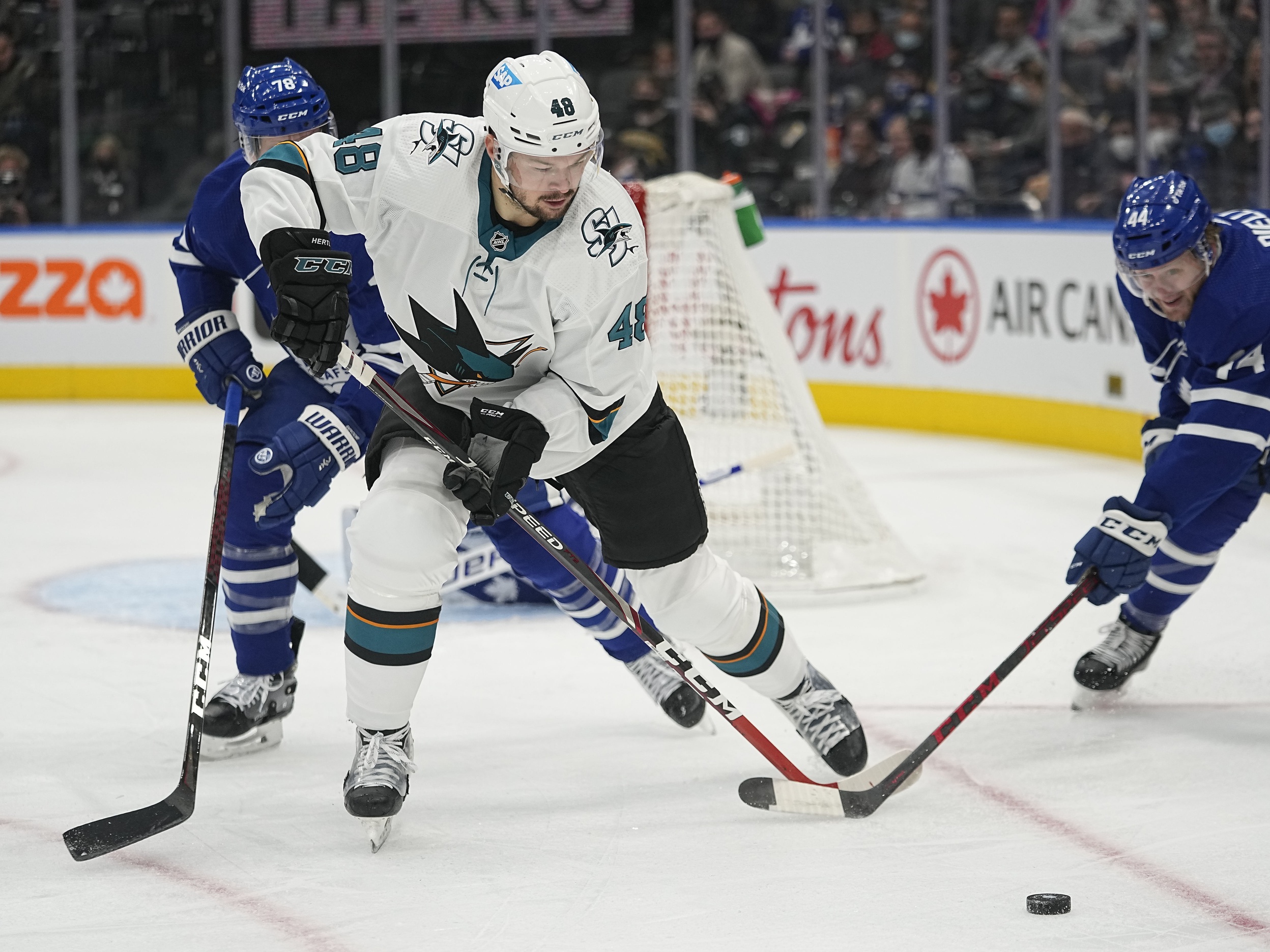 nhl picks Tomas Hertl San Jose Sharks predictions best bet odds
