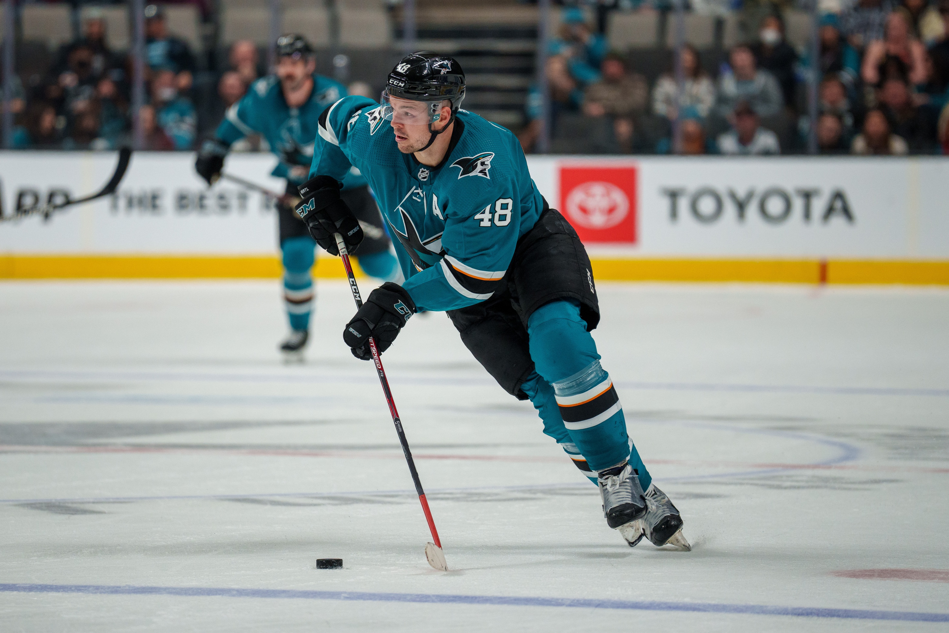 nhl picks Tomas Hertl San Jose Sharks predictions best bet odds