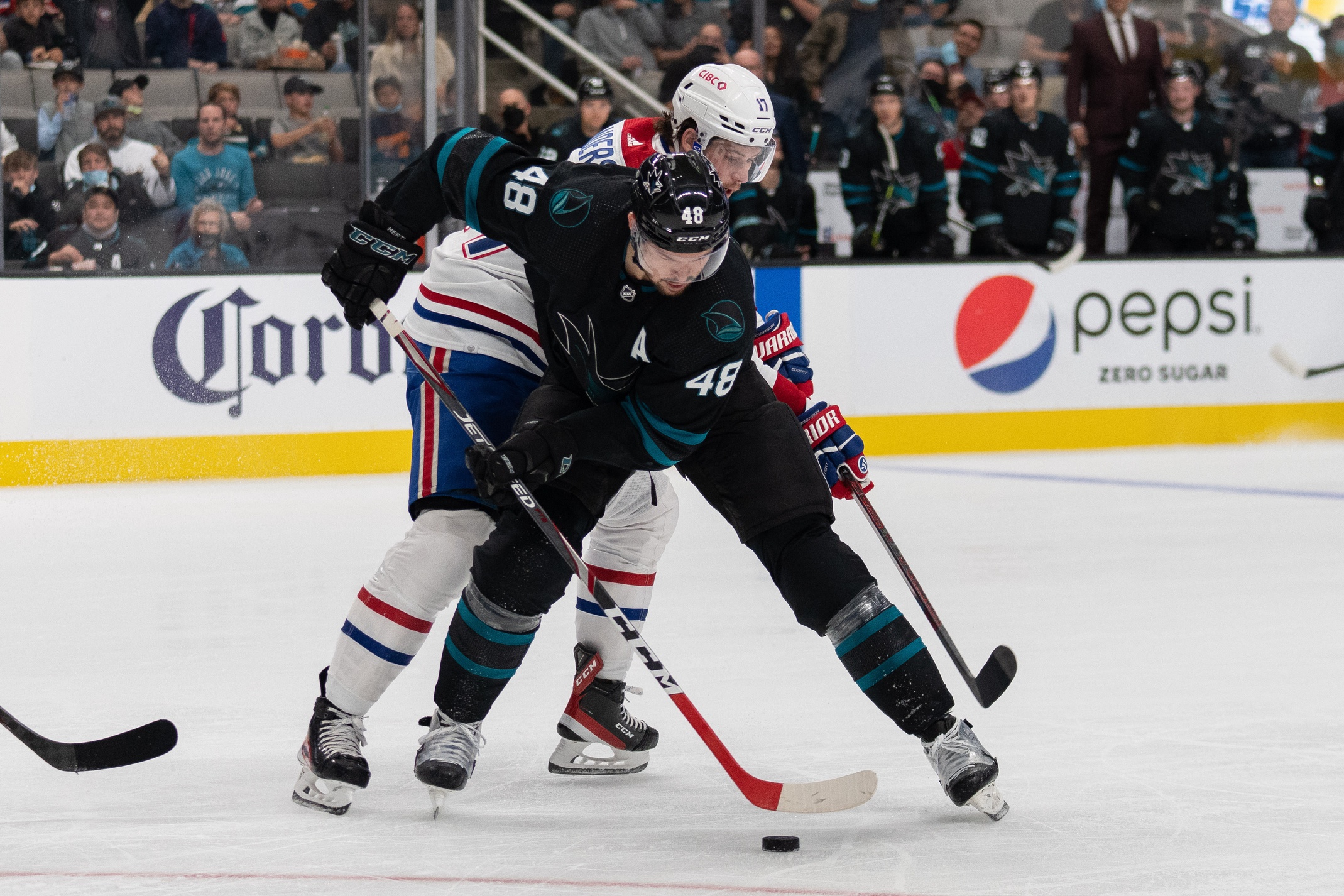 nhl picks Tomas Hertl San Jose Sharks predictions best bet odds