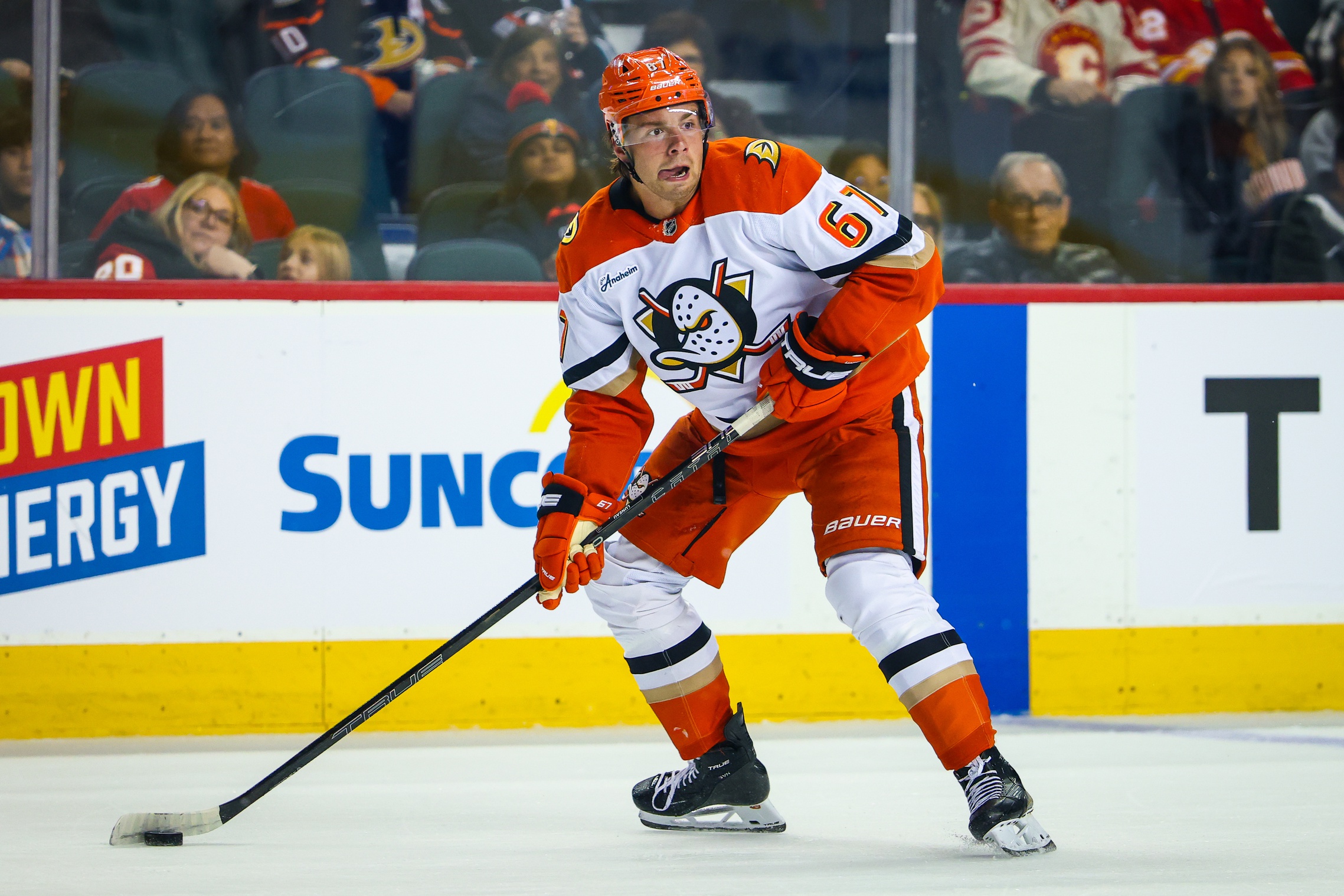 nhl picks Tristan Luneau Anaheim Ducks predictions best bet odds