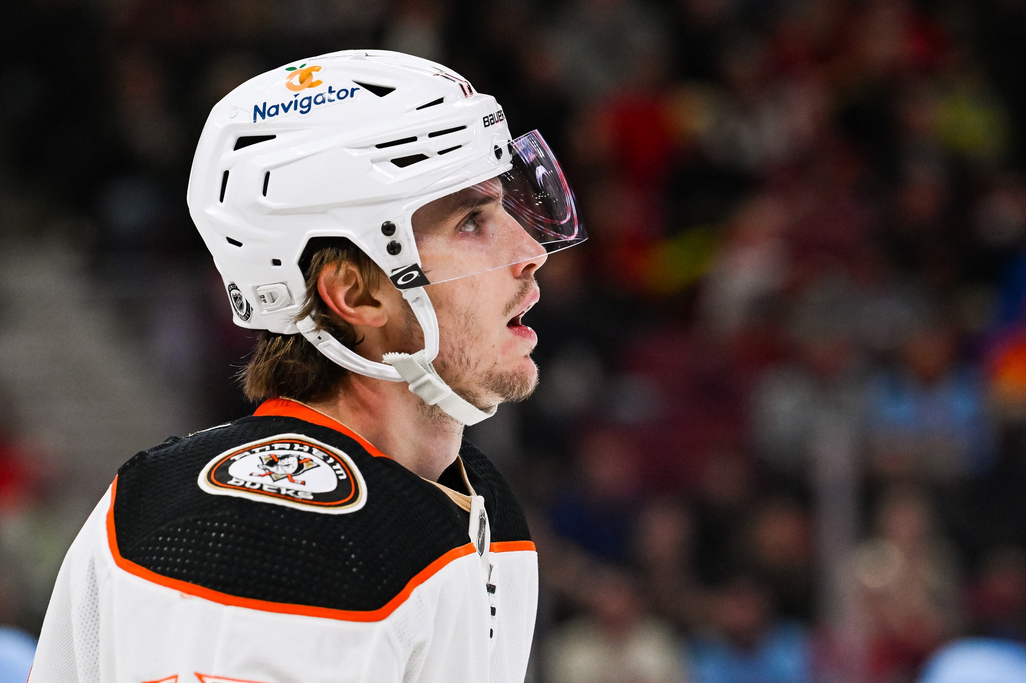nhl picks Troy Terry Anaheim Ducks nhl picks