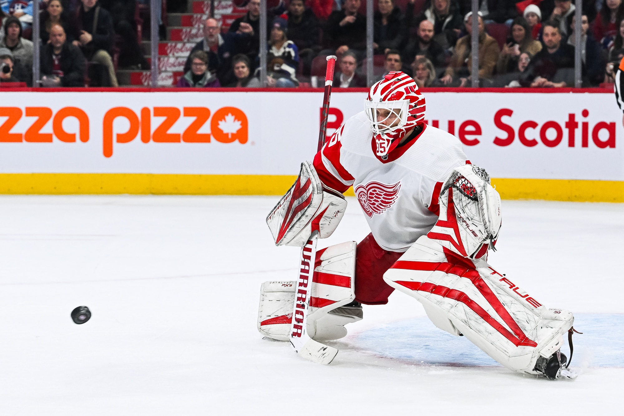 nhl picks Ville Husso Detroit Red Wings nhl picks predictions best bet odds