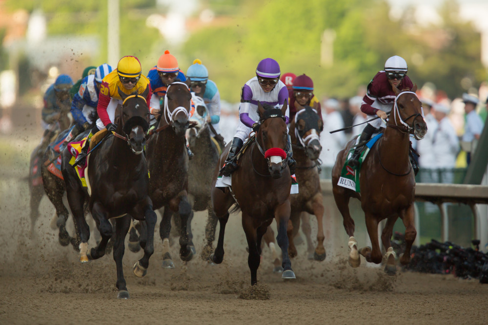 Nyquist, Kentucky Derby winner