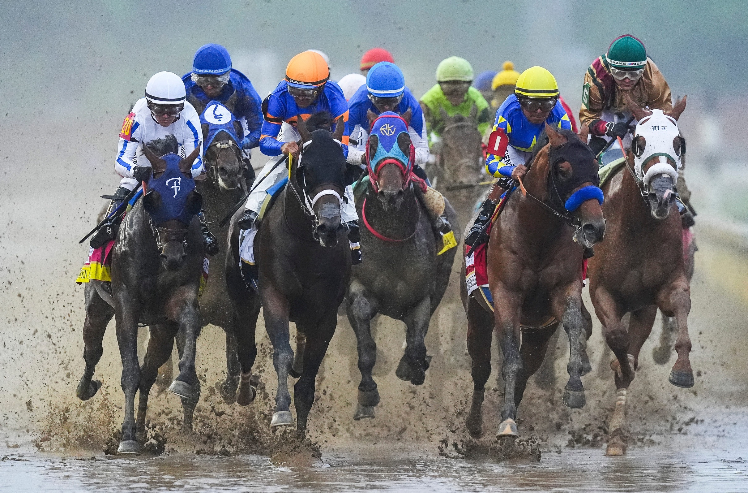 Preakness Stakes betting trends