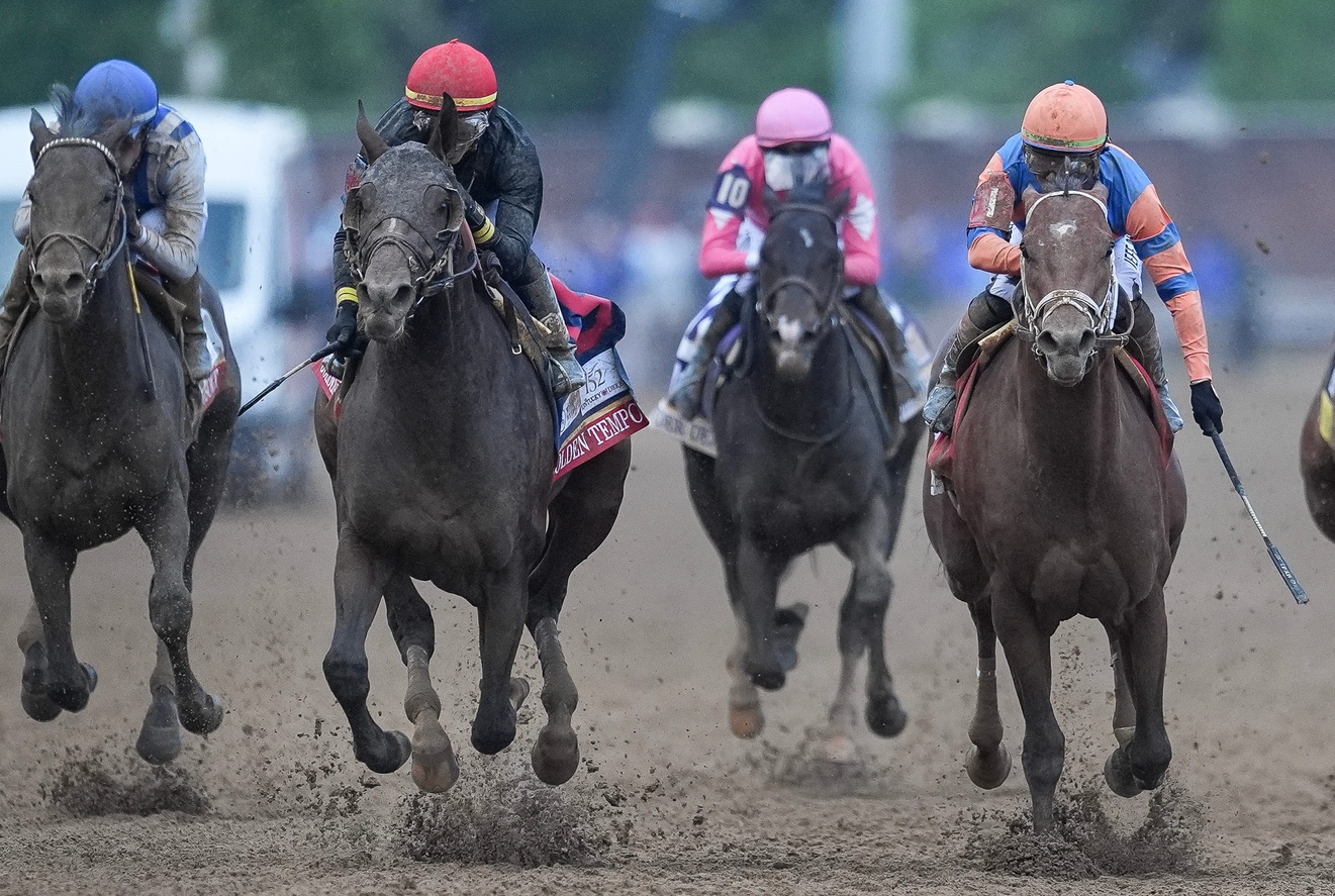 Preakness Stakes betting trends