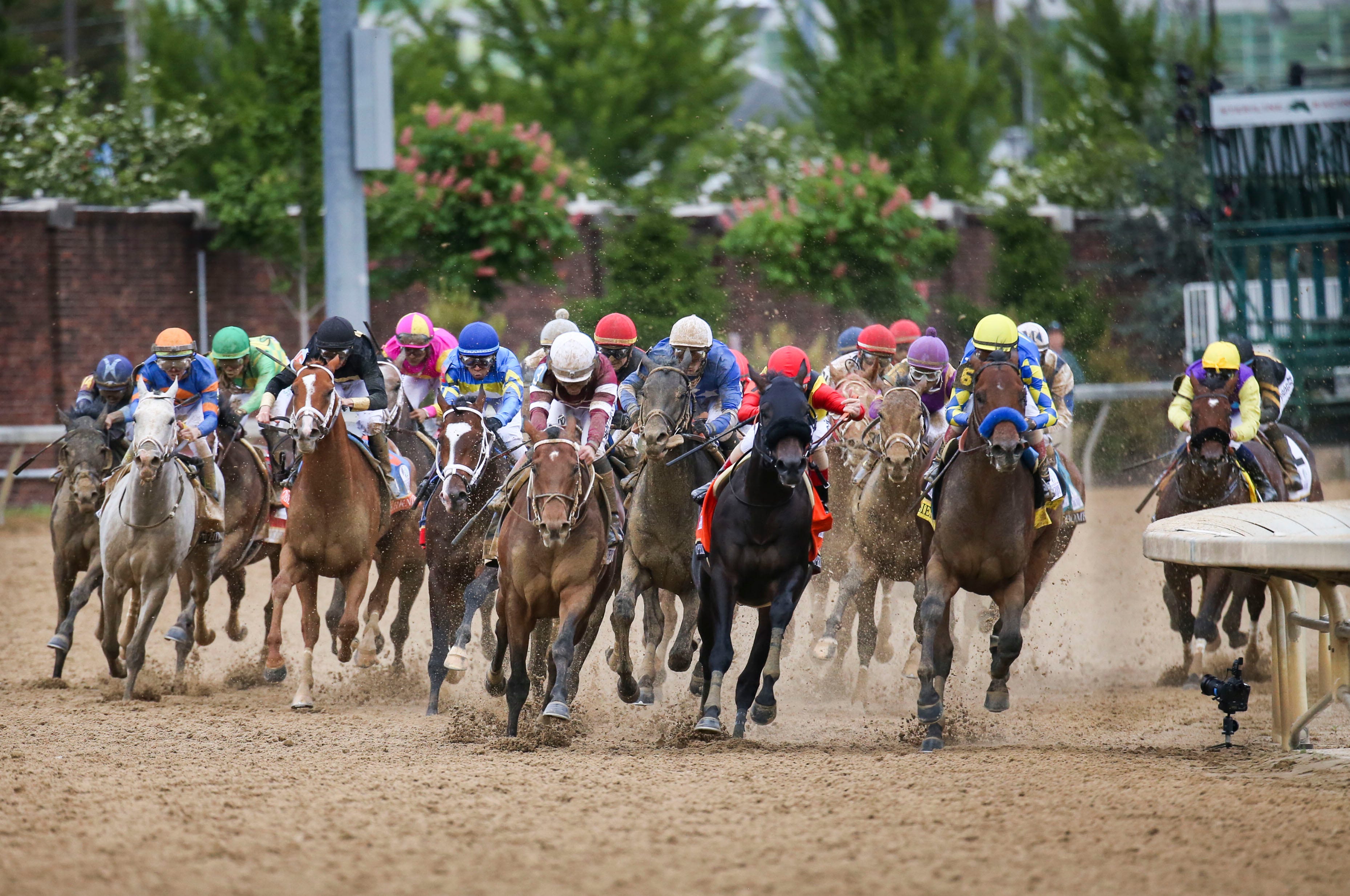Preakness Stakes field early look