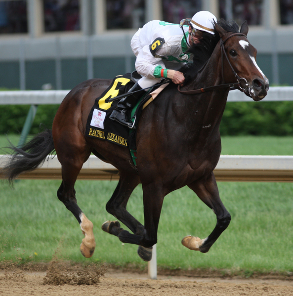 Rachel Alexandra is one of only three fillys to race in the Preakness Stakes in modern times.