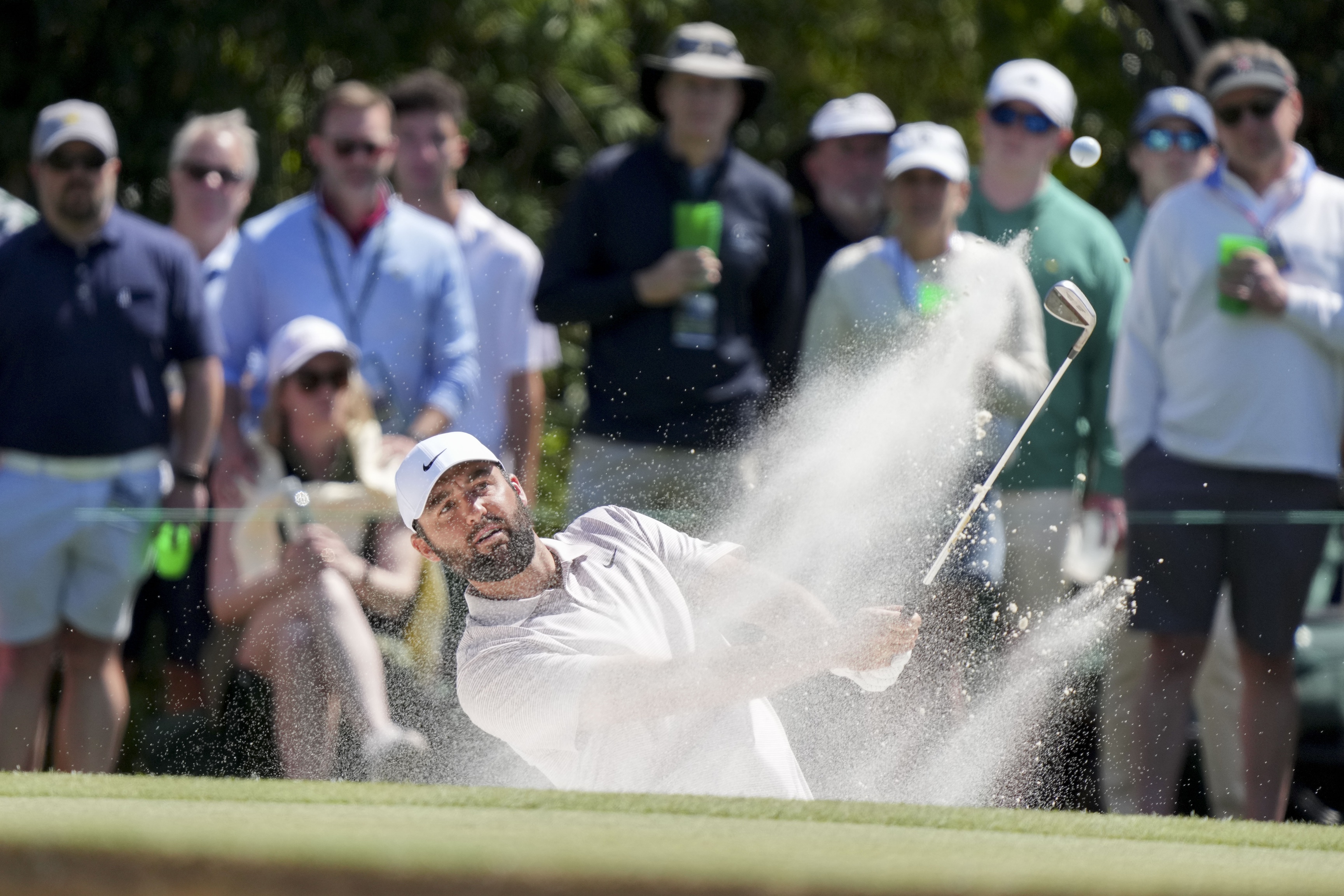 RBC Heritage odds and predictions Scottie Scheffler