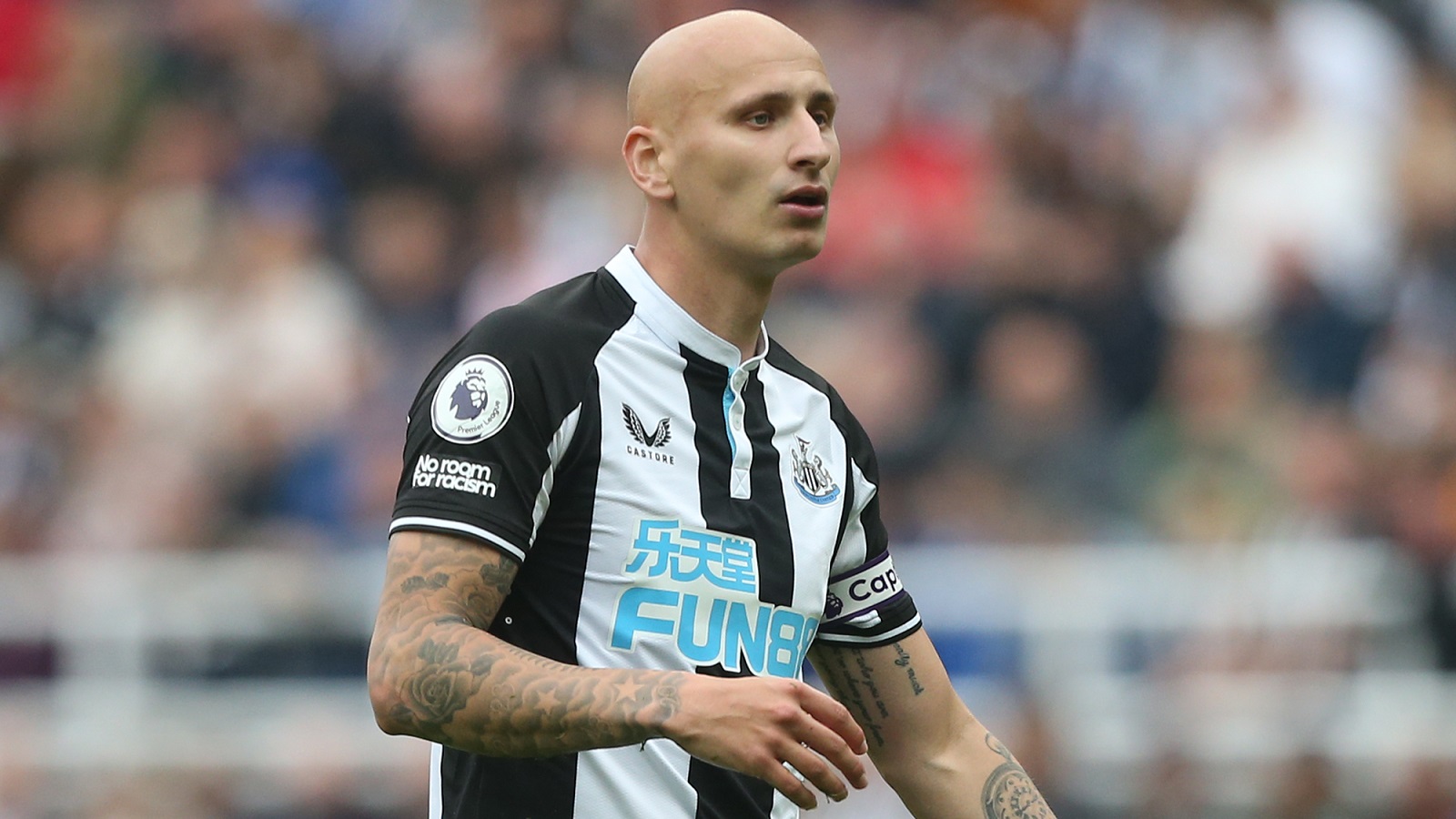 soccer picks Jonjo Shelvey Newcastle United predictions best bet odds