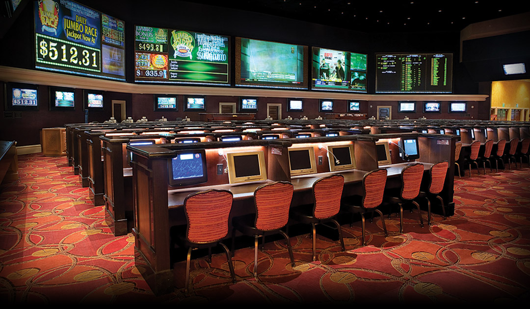 sportsbook layout