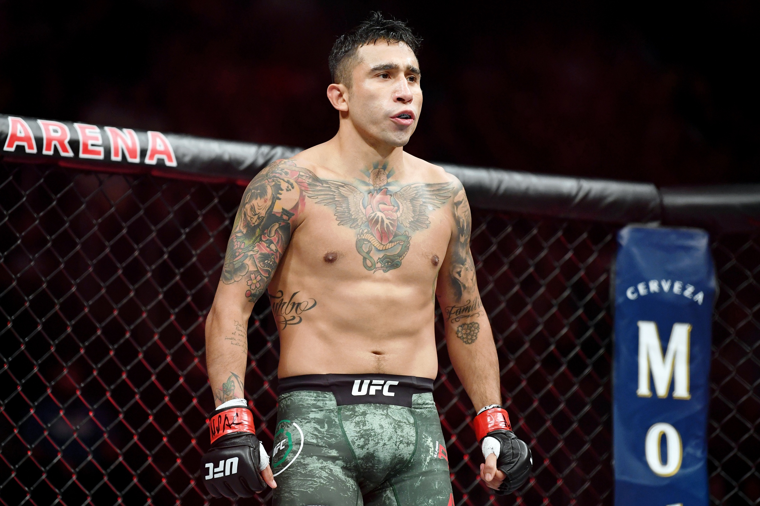 ufc picks Alejandro Perez predictions best bet odds