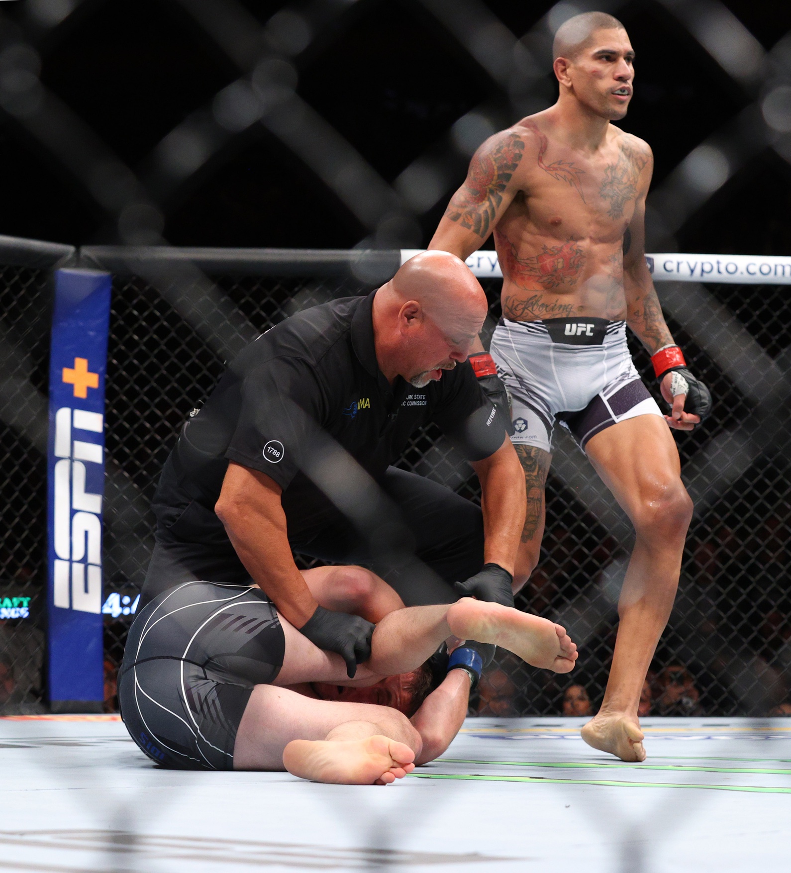 ufc picks Alex Pereira predictions best bet odds