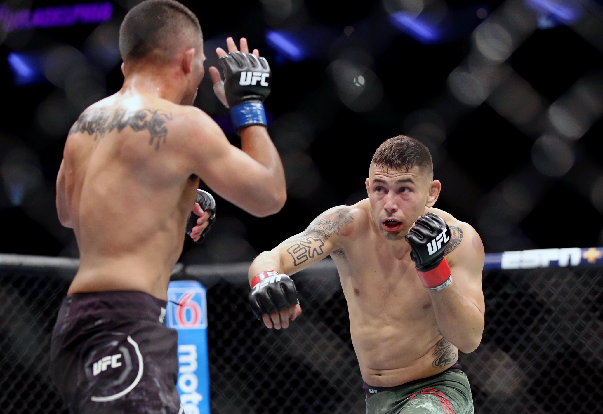ufc picks Alex Perez ufc predictions best bet odds