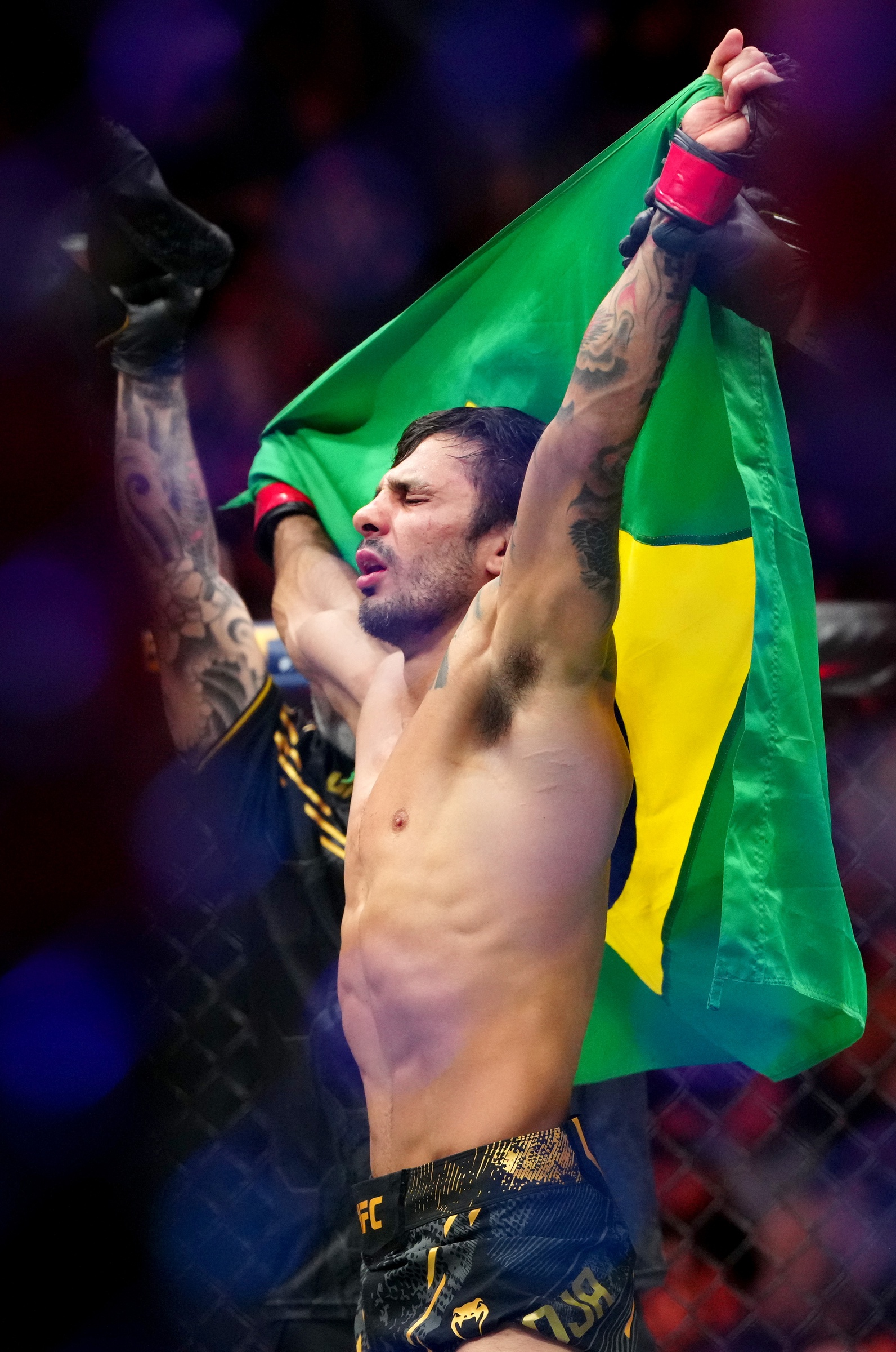 ufc picks Alexandre Pantoja ufc predictions best bet odds